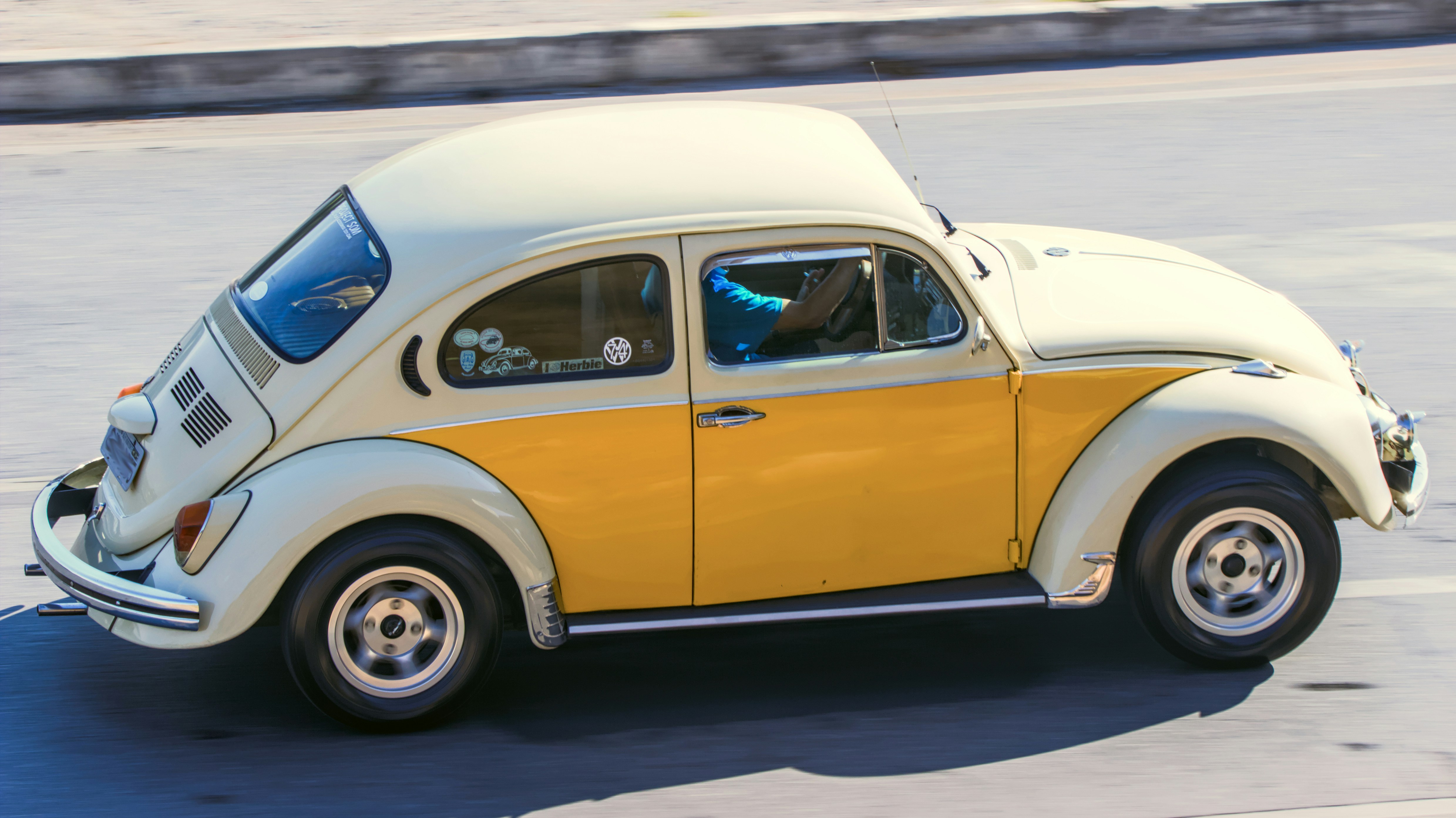 Photo by eversonvansoski