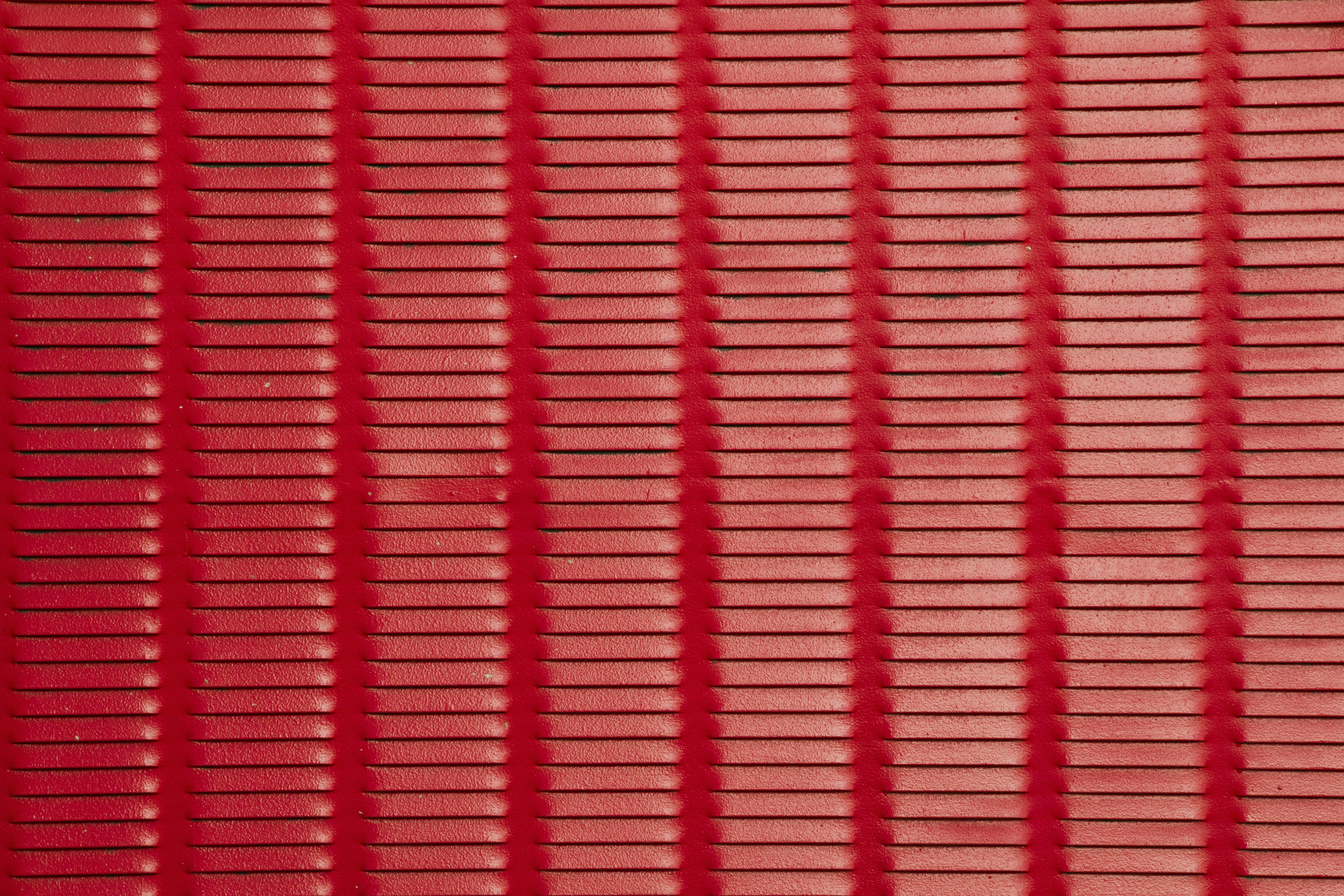 Photo by eversonvansoski