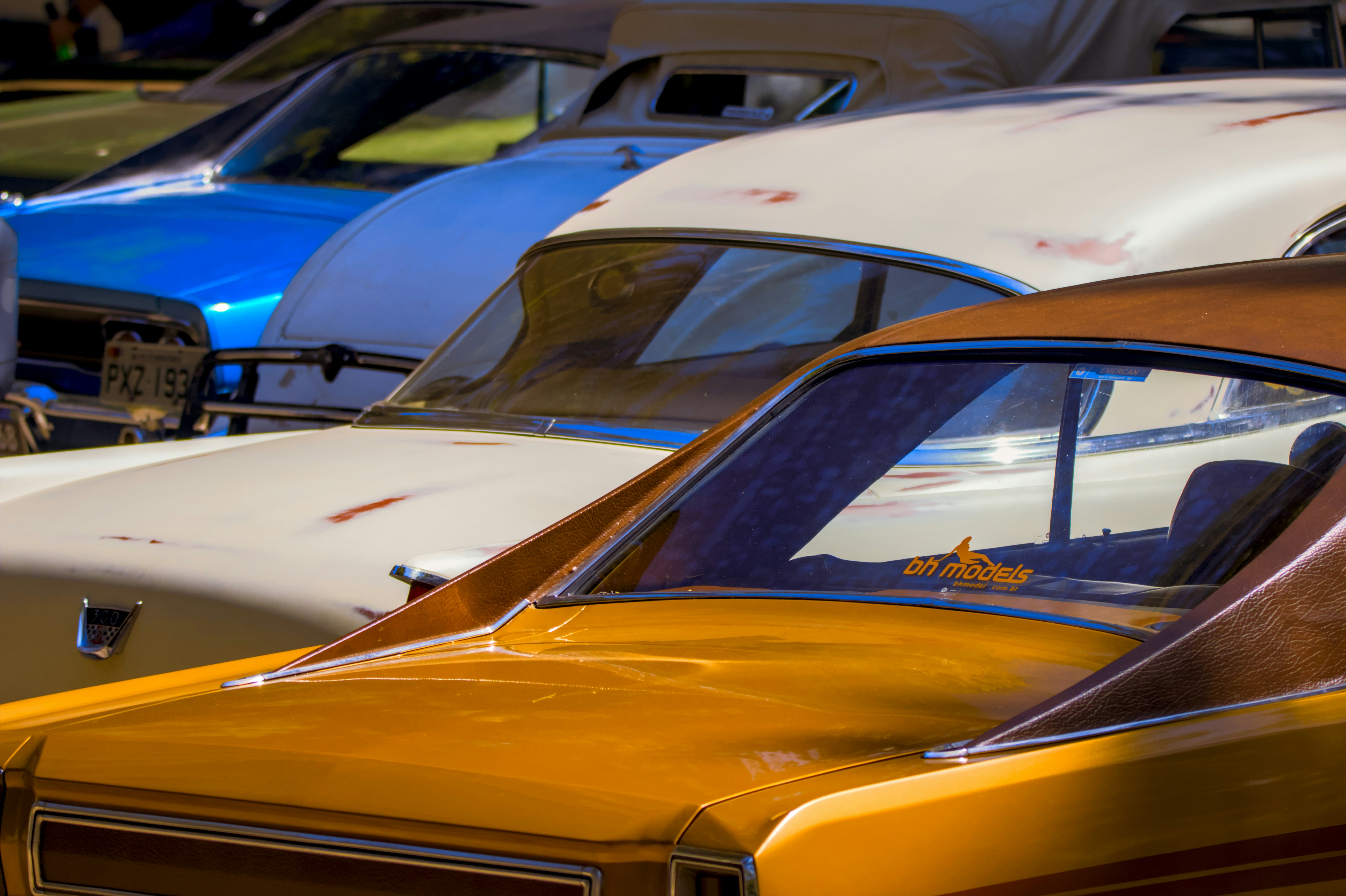 Photo by eversonvansoski