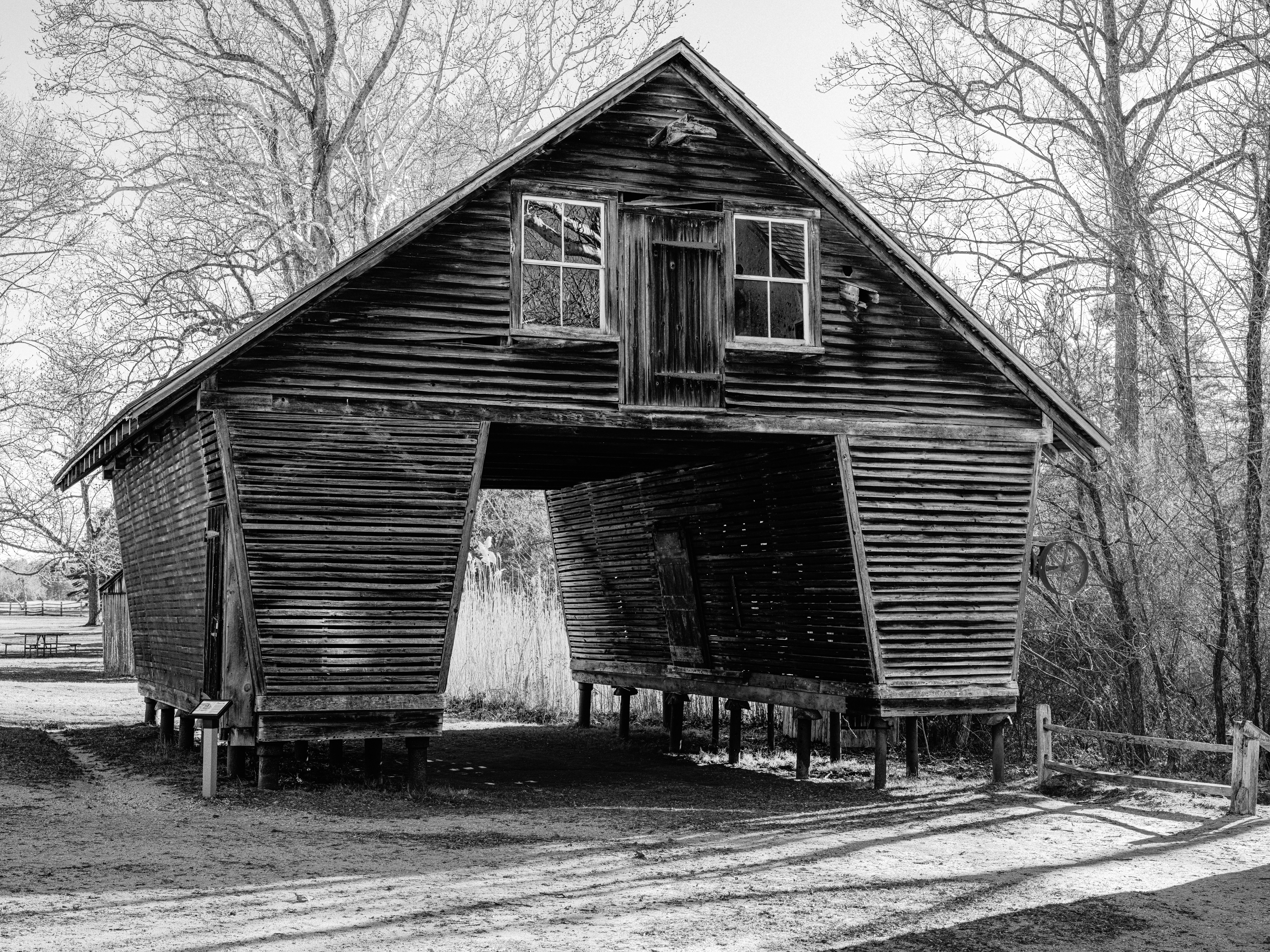 Photo by lumin_osity