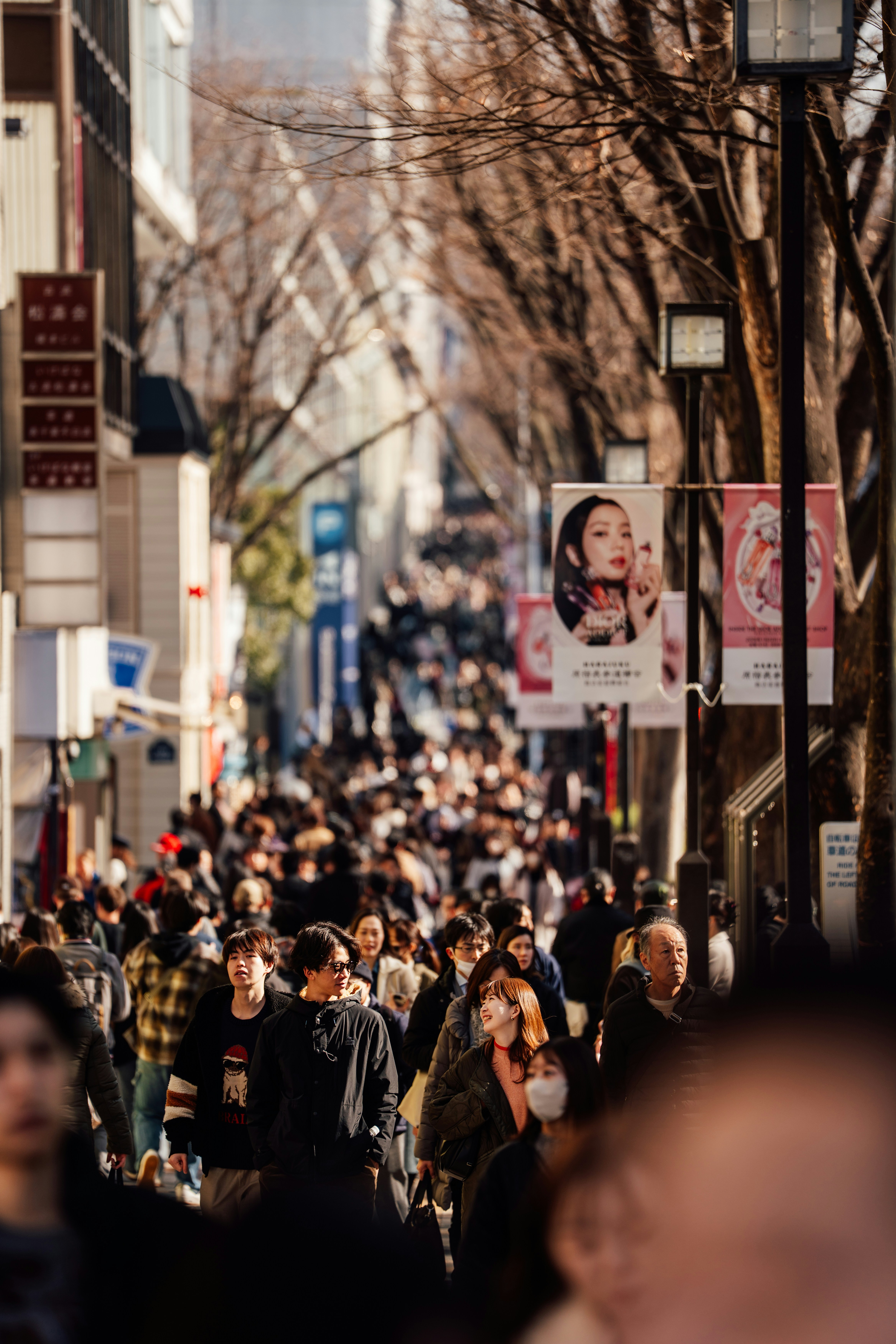 Eine belebte Straße, gesäumt von Bäumen und Geschäften.