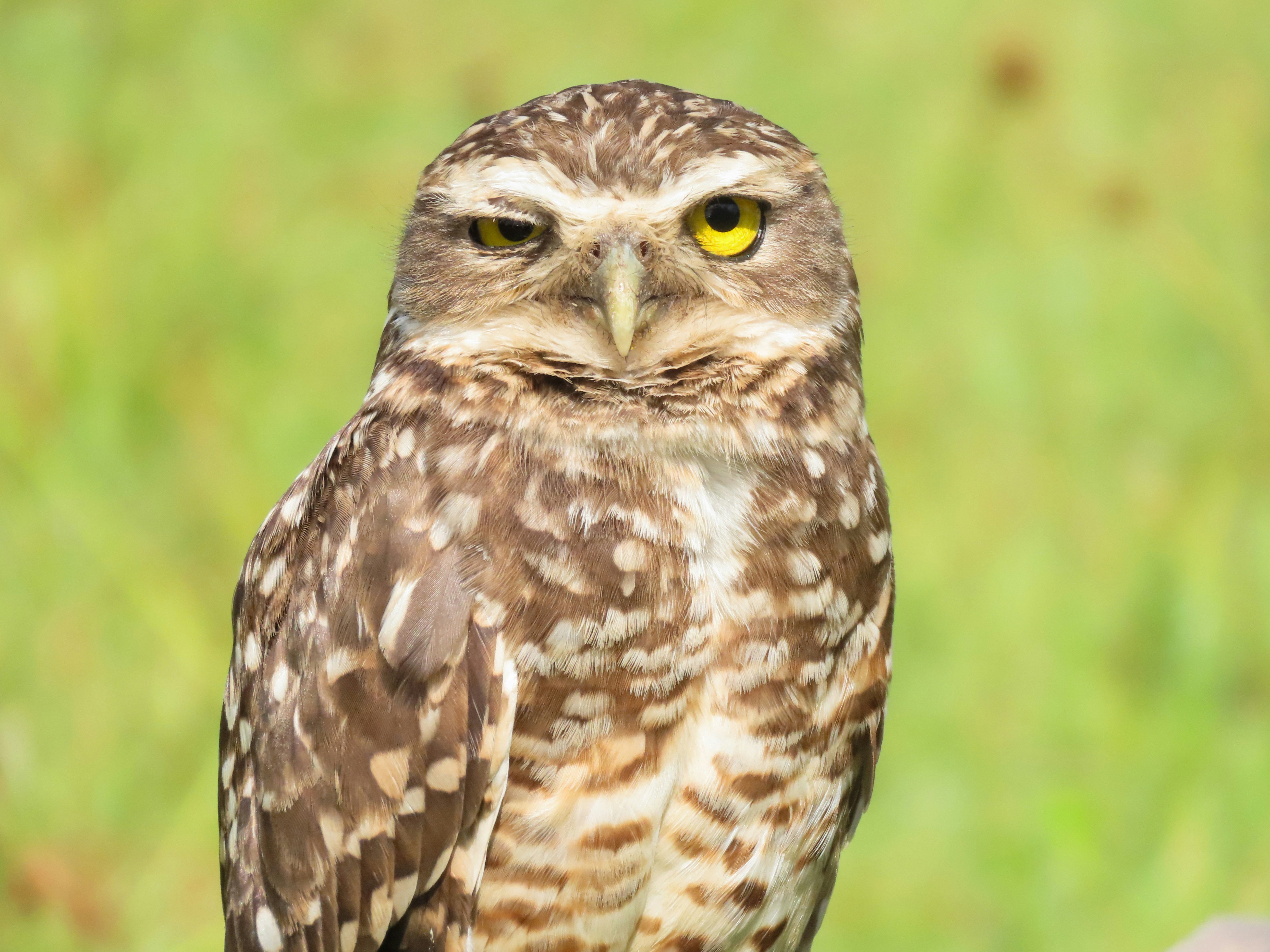 Photo by patricianicoloso