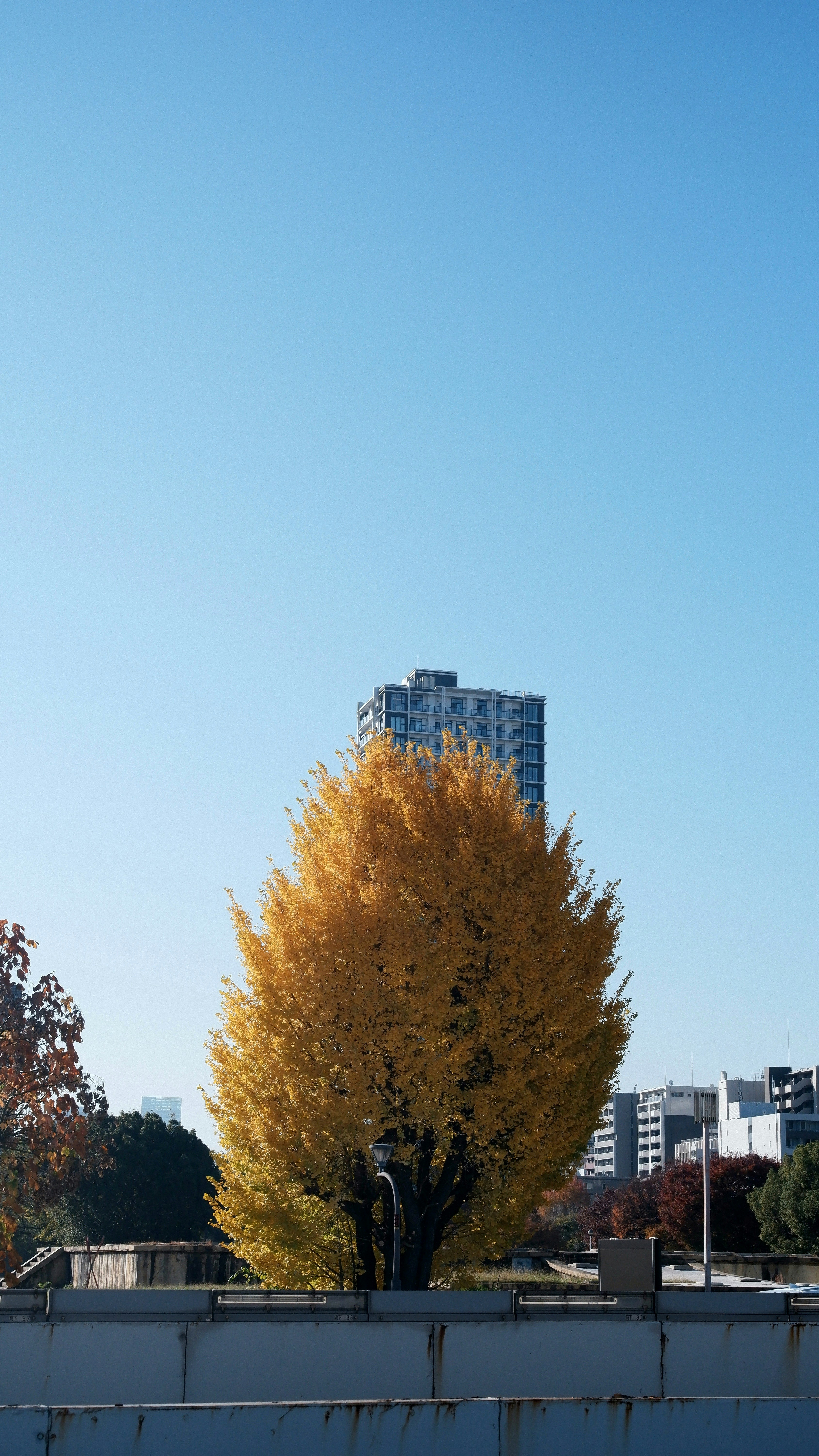 Photo by ryohariantoo