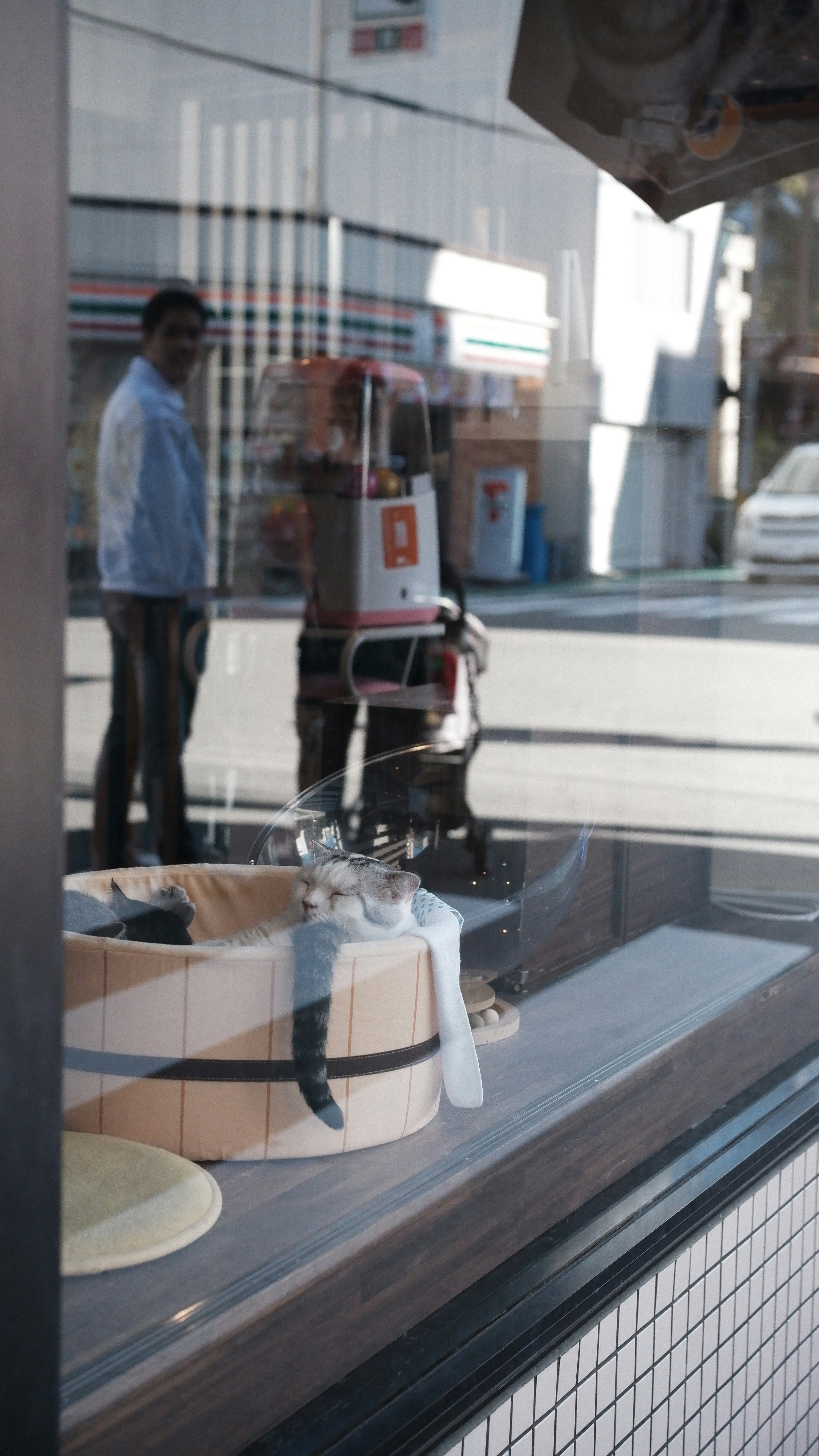 Photo by ryohariantoo