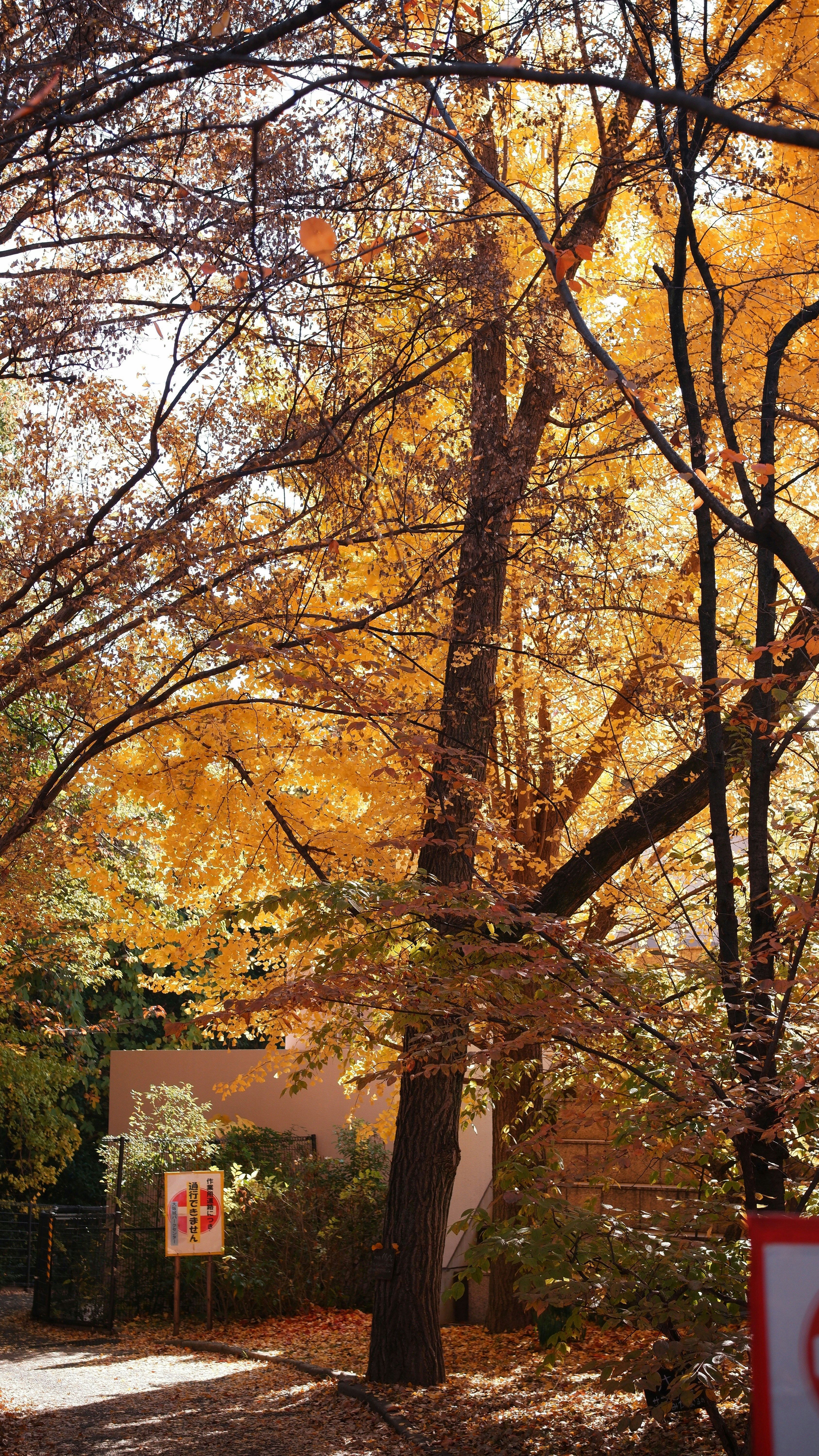 Photo by ryohariantoo