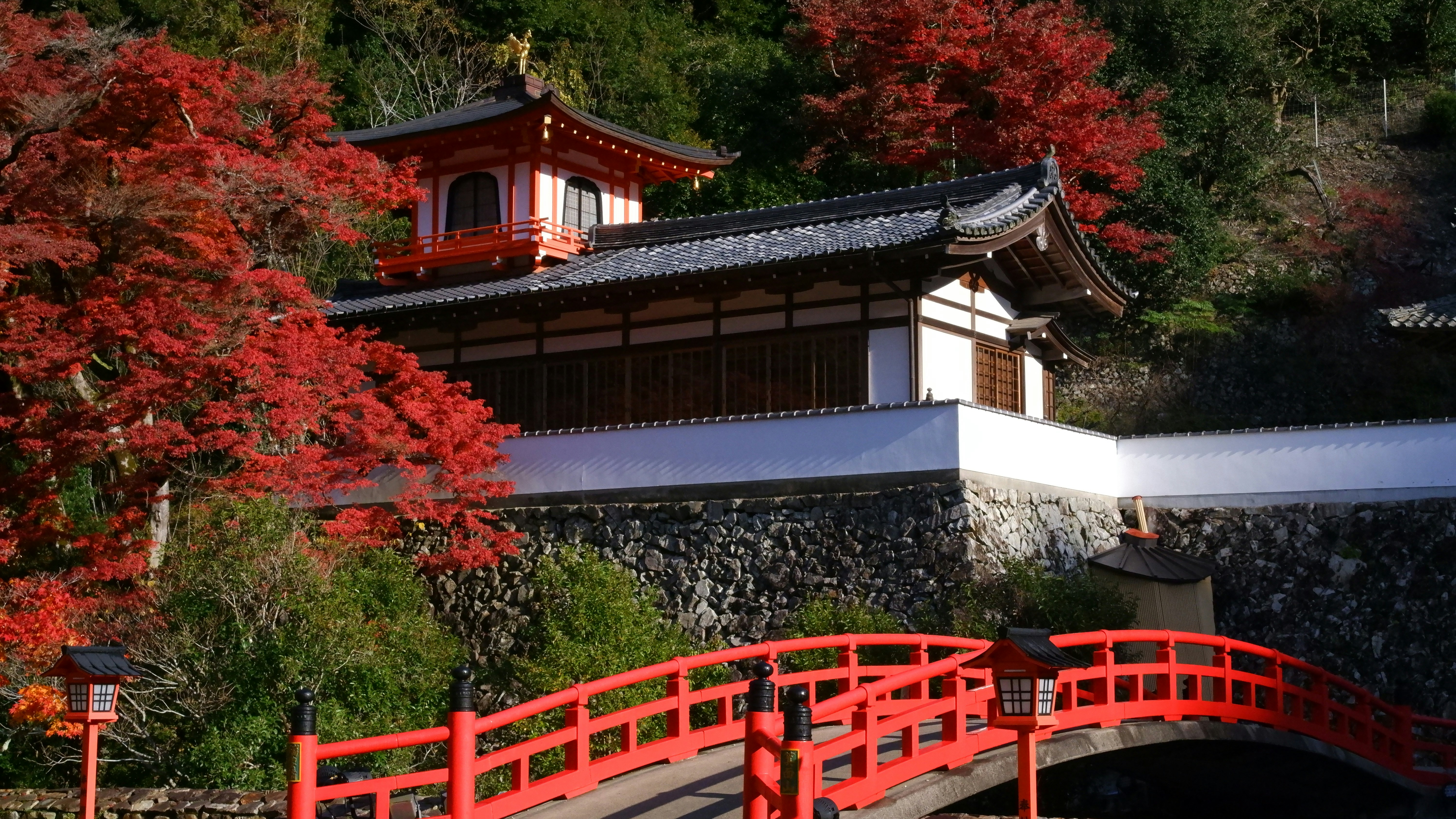 Photo by ryohariantoo