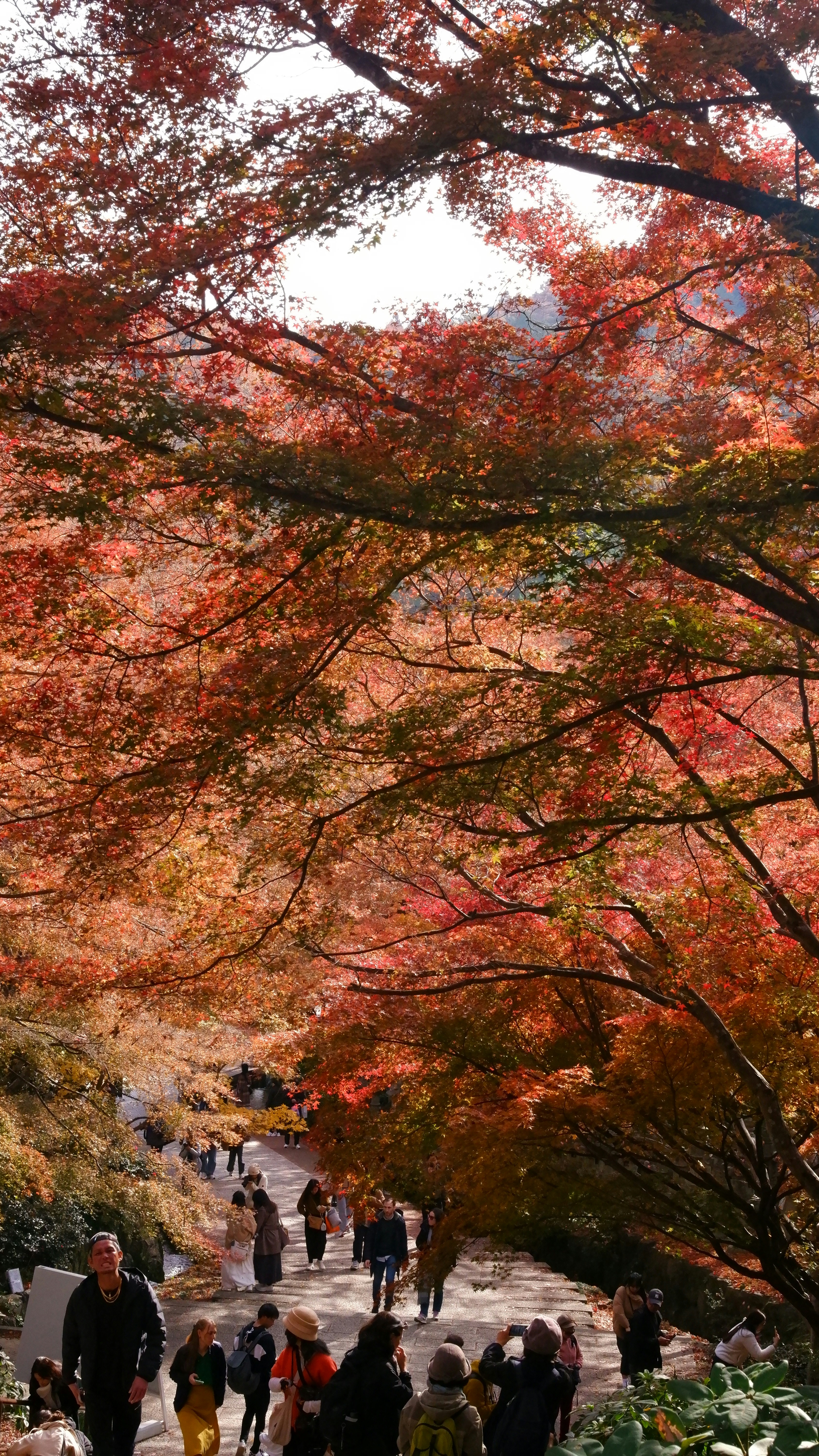 Photo by ryohariantoo