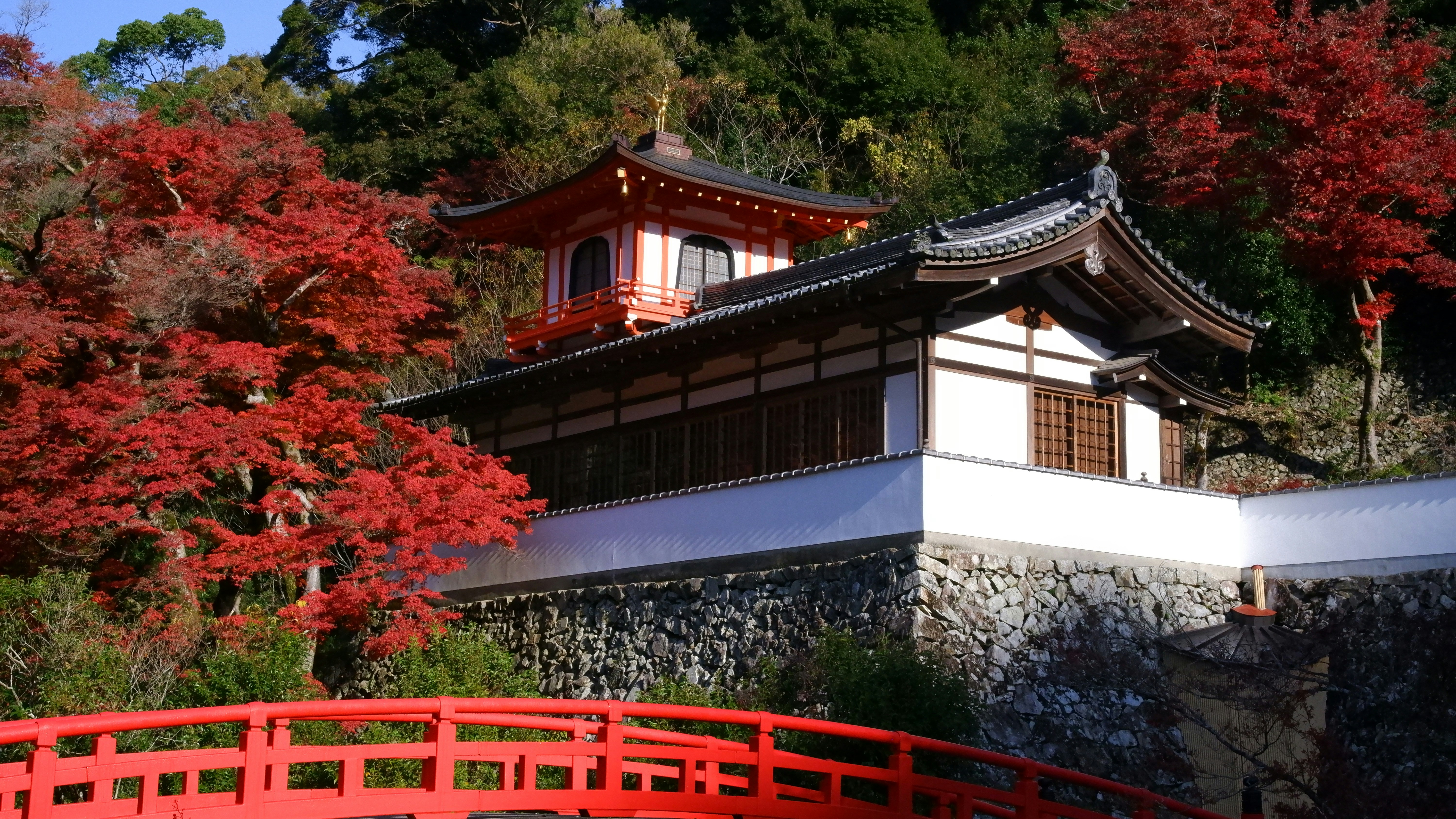 Photo by ryohariantoo