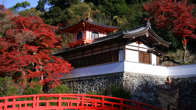 Spring Activities in Japan: Beyond Cherry Blossoms