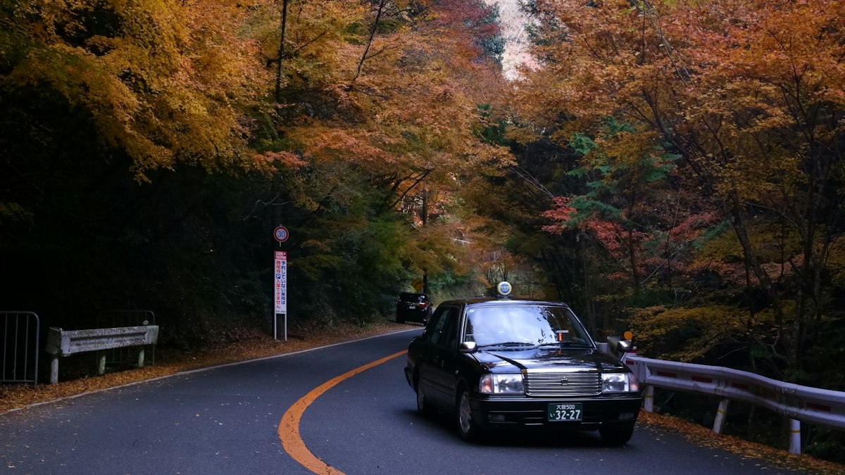 Japanese gift wrapping and omiyage
