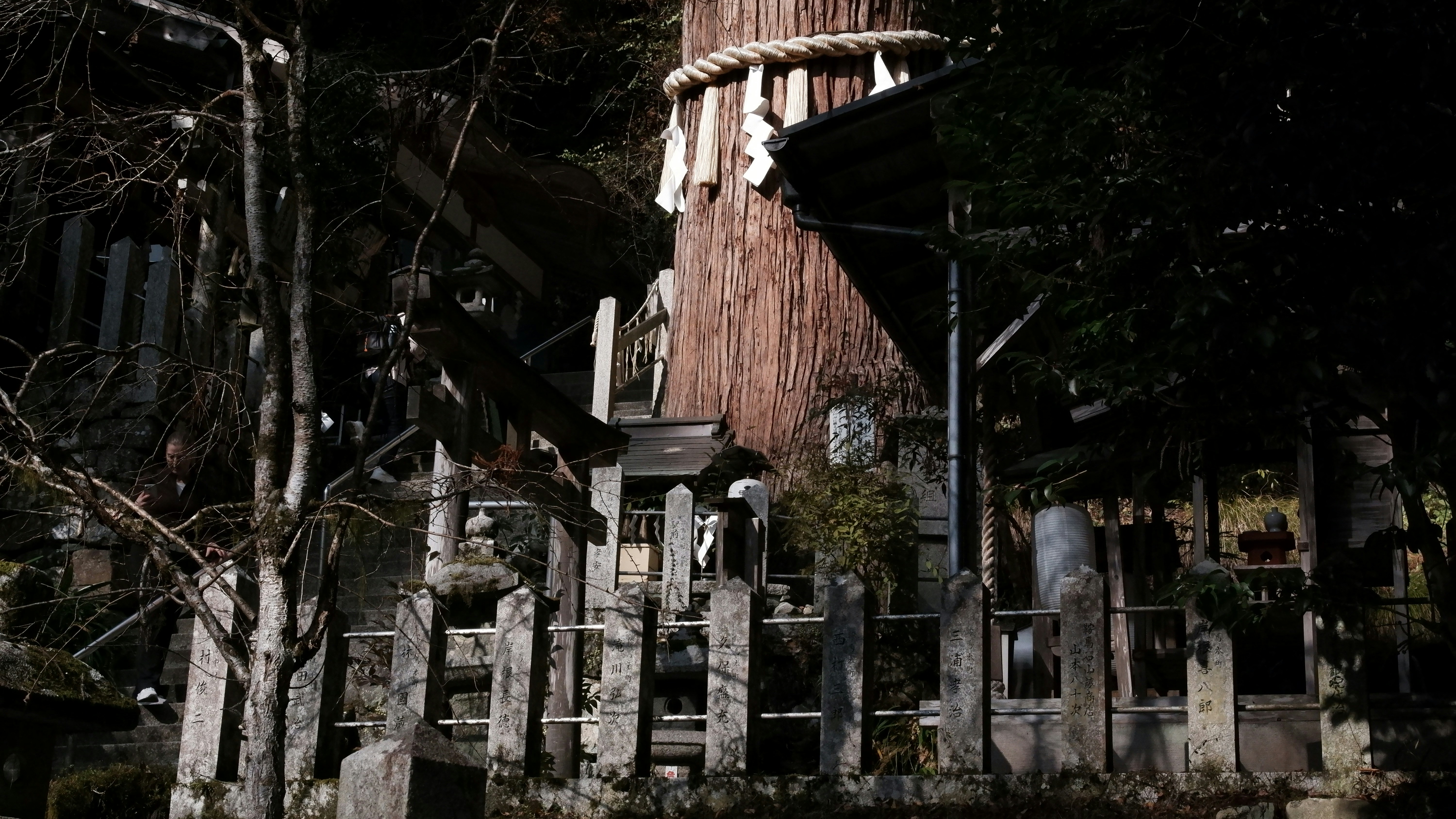 Ancient tree trunk structure with wooden fence at night