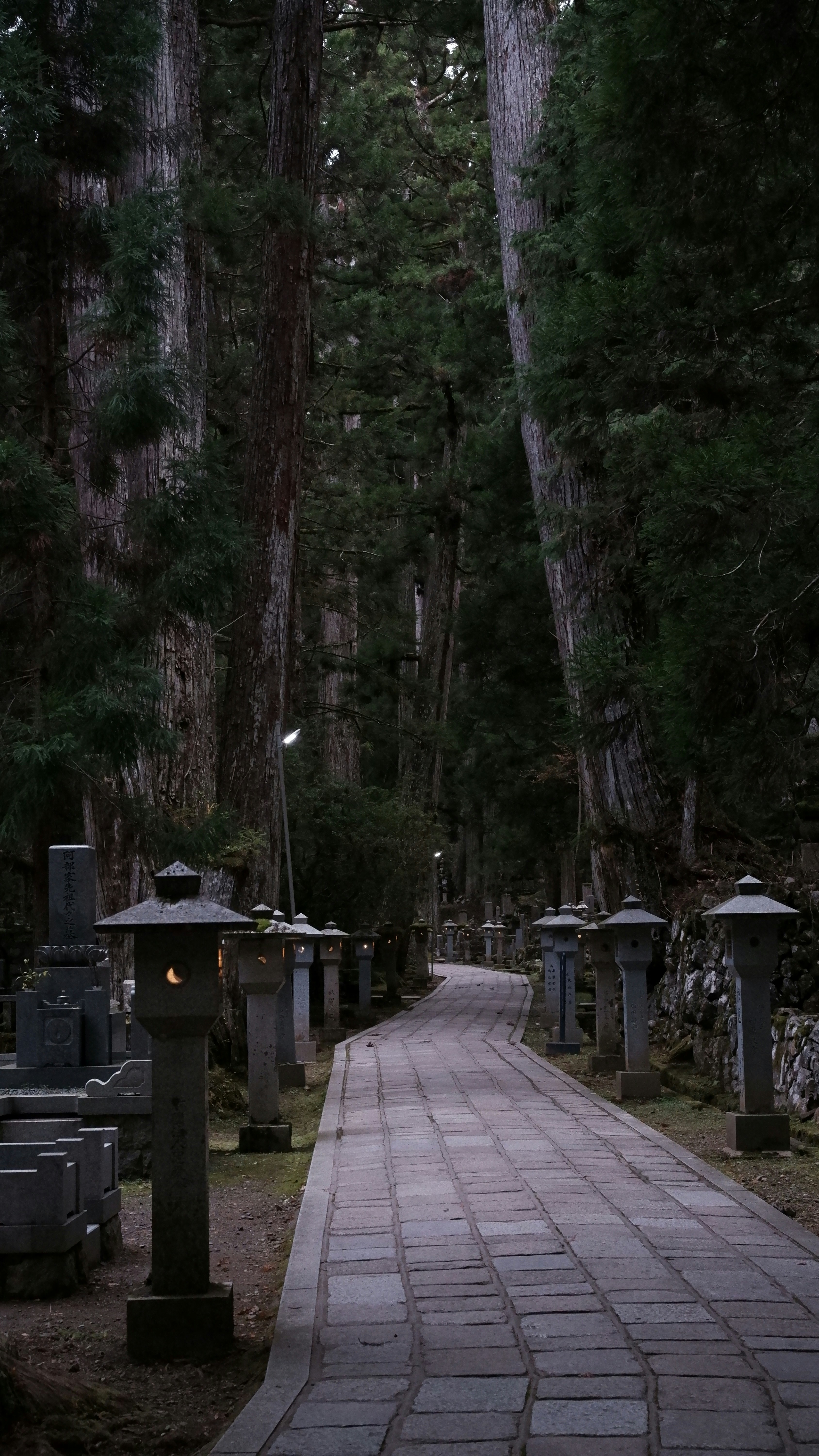 Stone path lined with lanterns in a forest