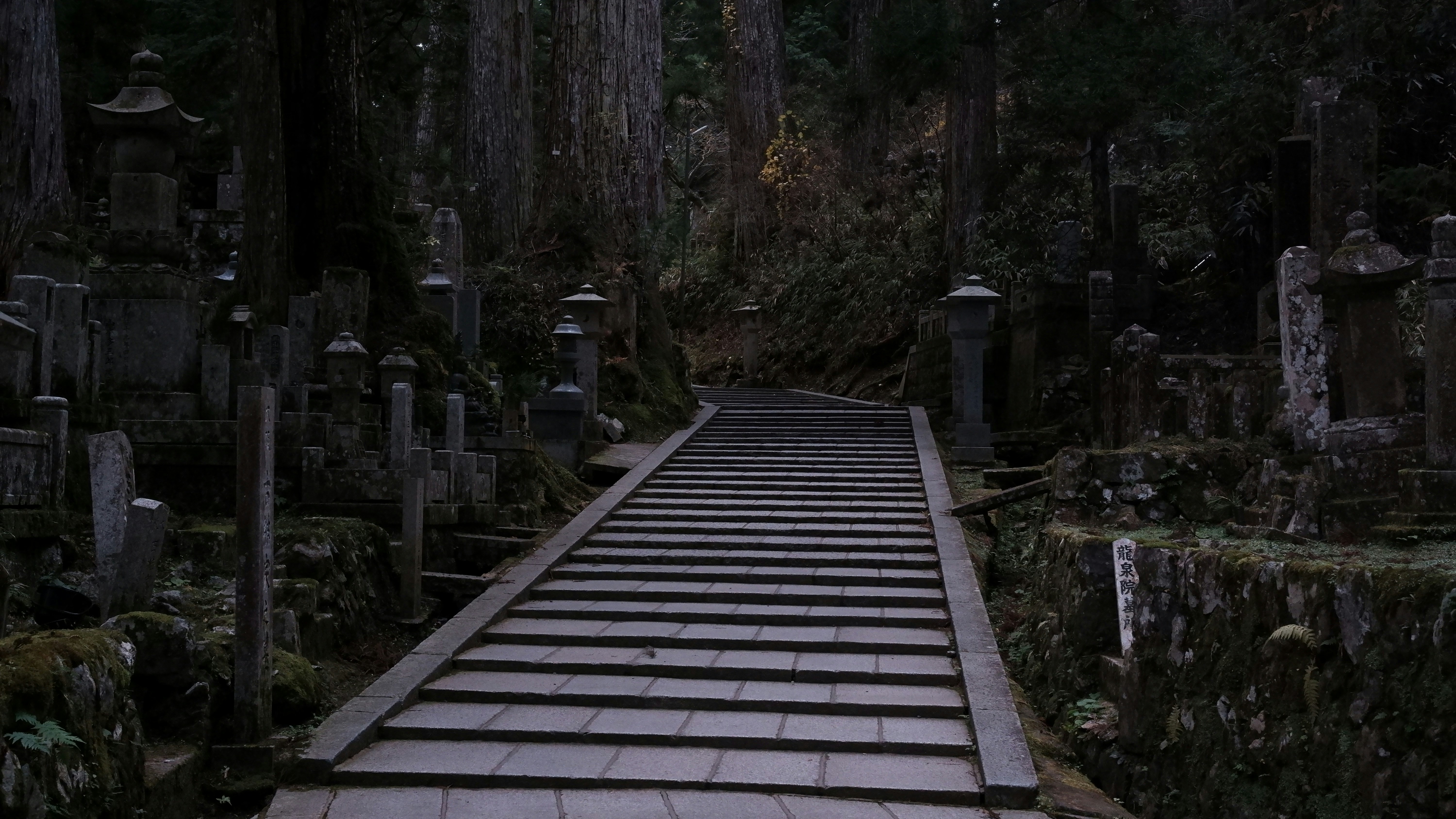 何人もの息子を失った母の心境