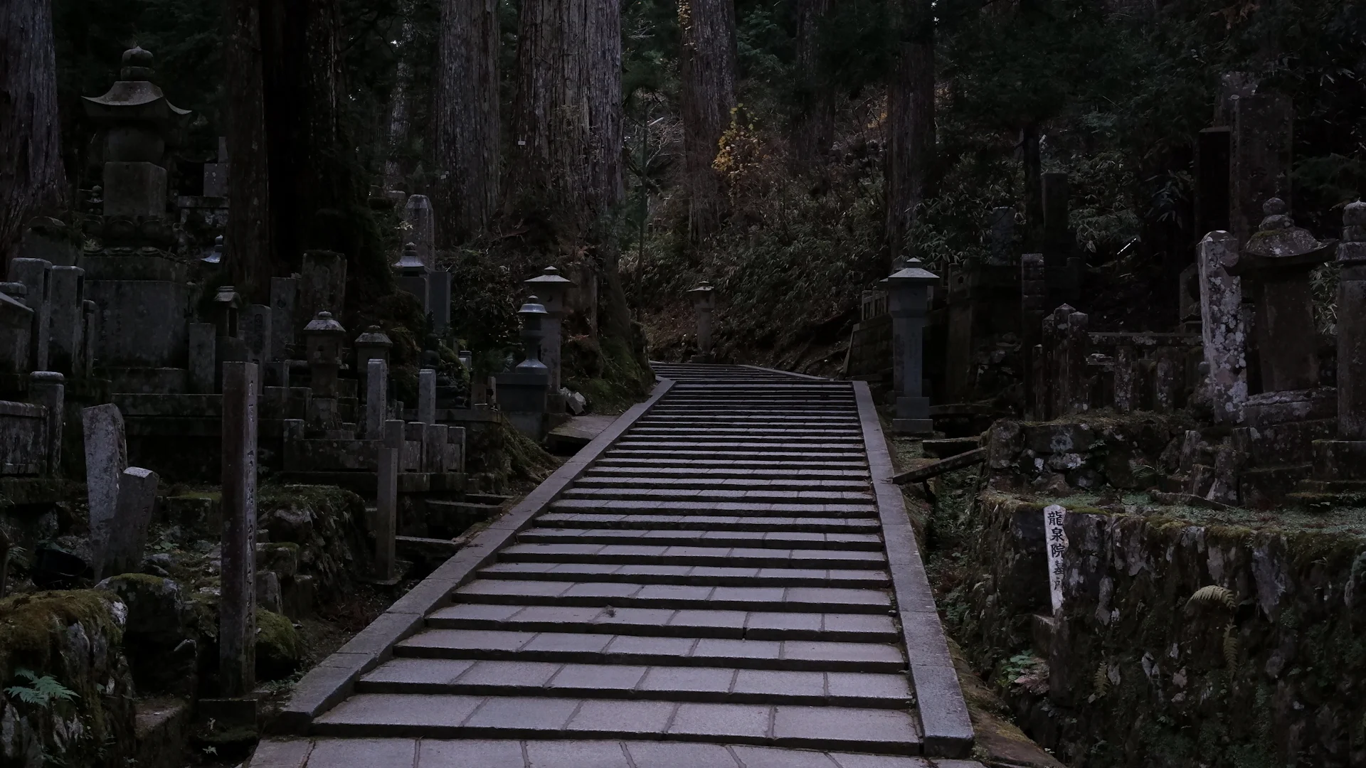 Wooden steps through a dark, mossy graveyard of old stone monuments