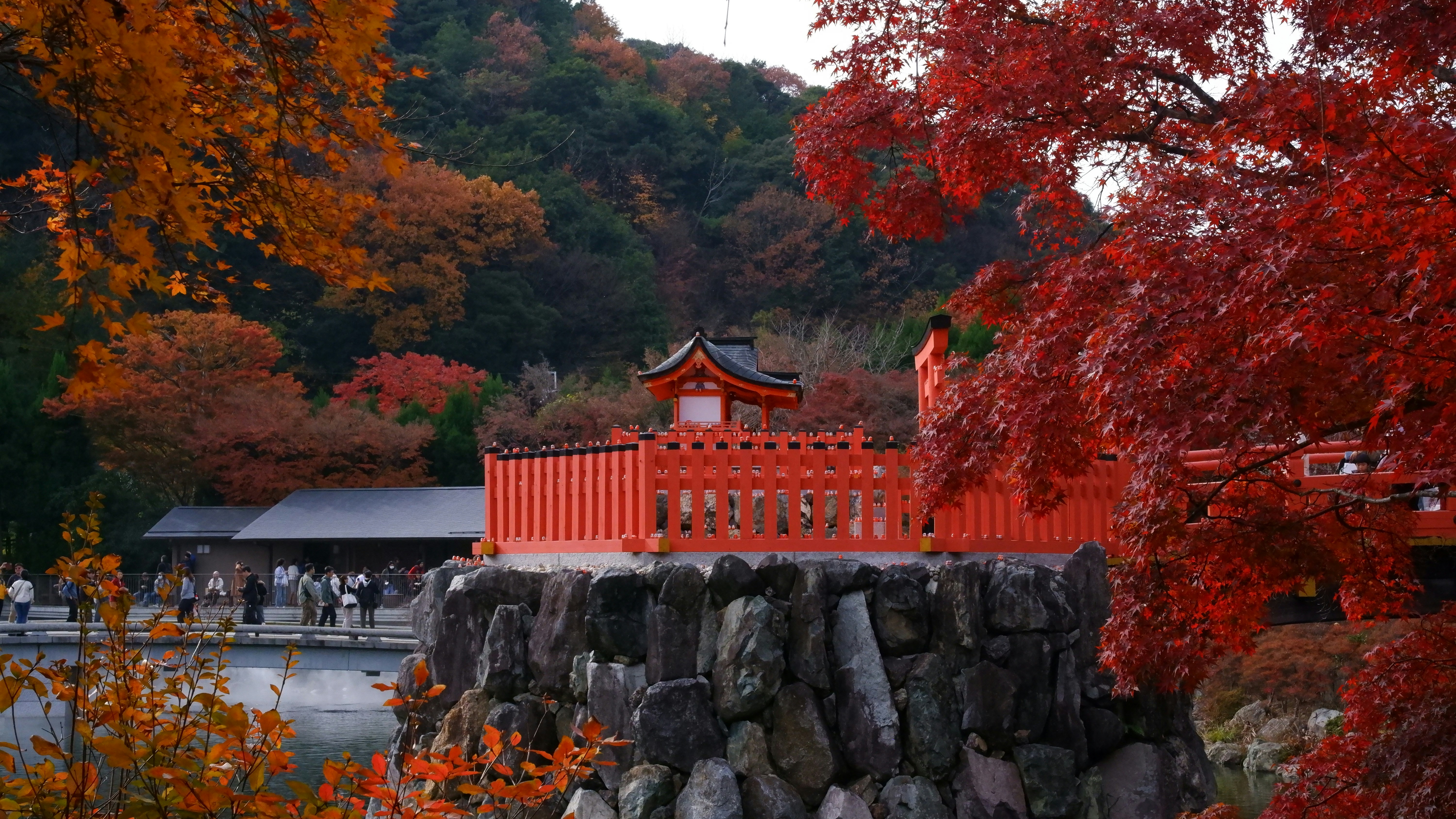 Photo by ryohariantoo