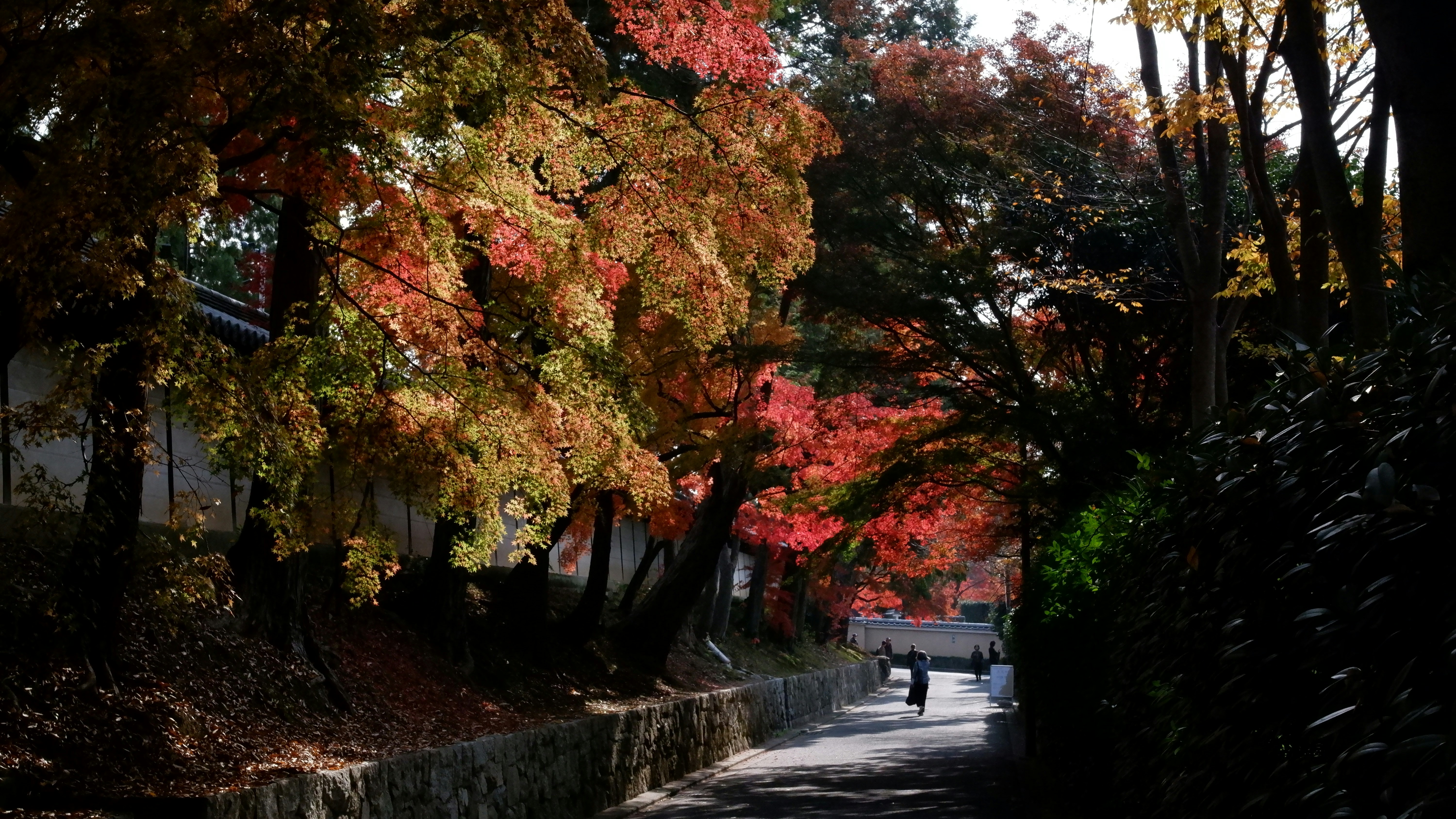 Photo by ryohariantoo