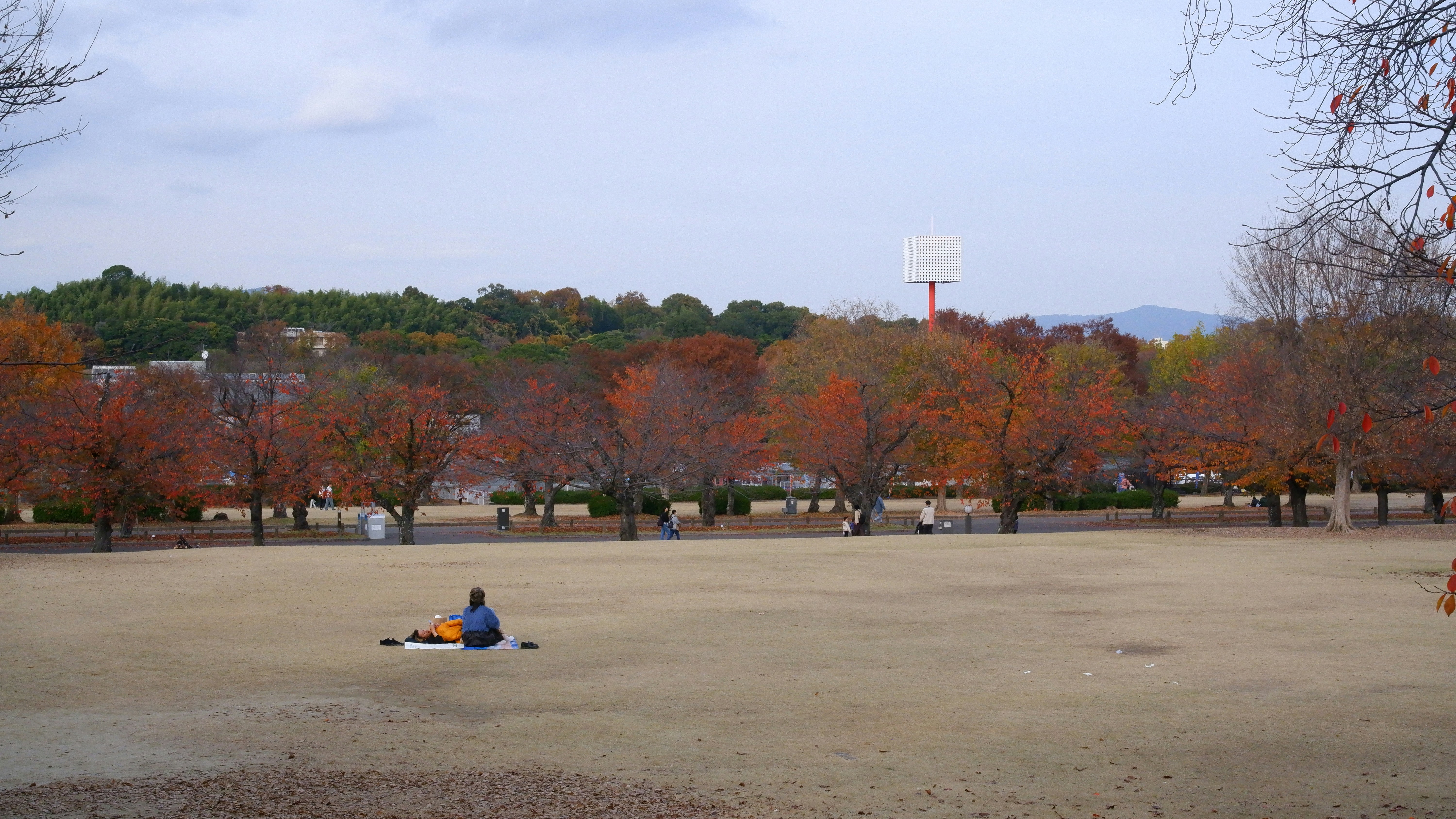 Photo by ryohariantoo