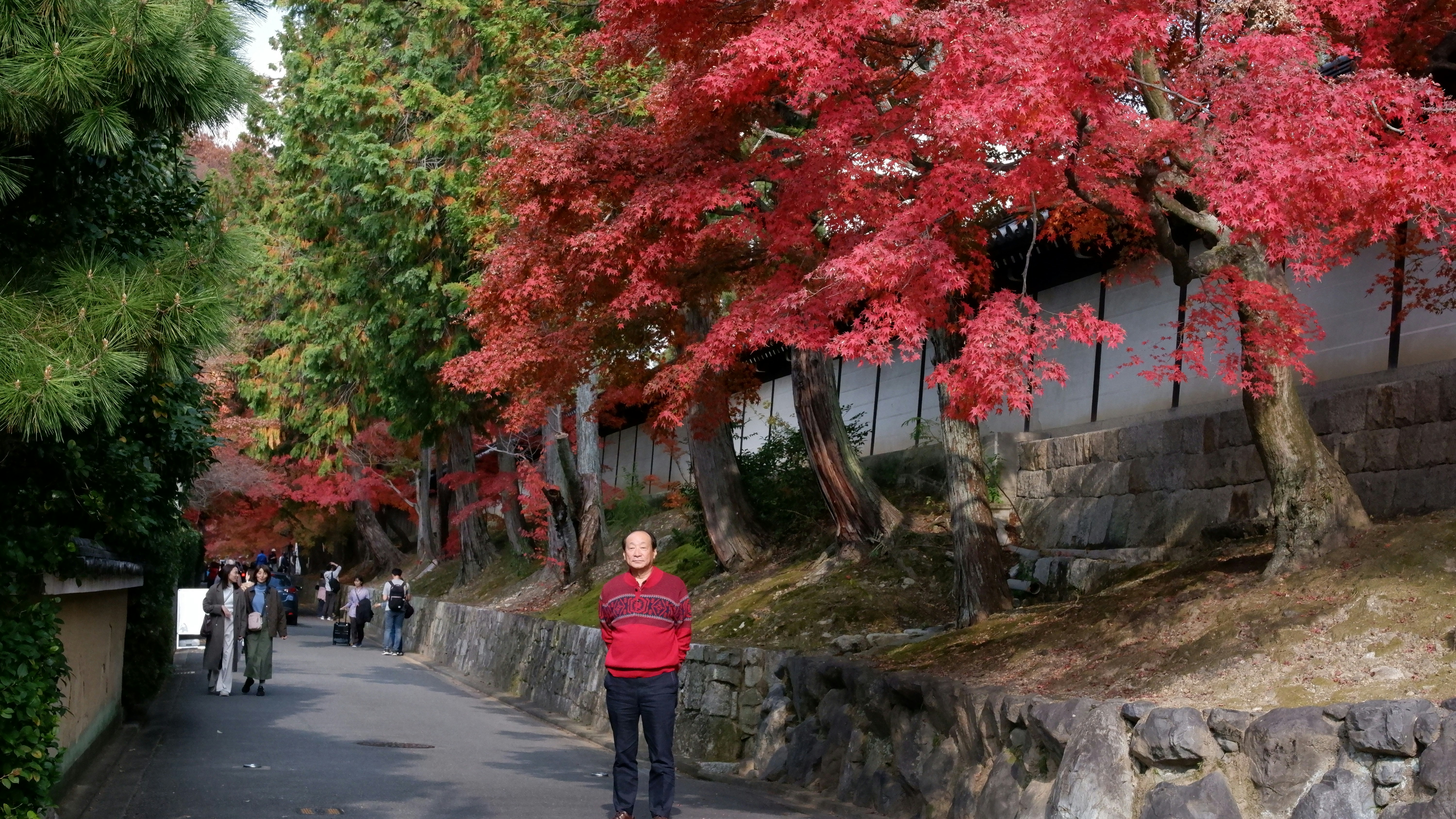 Autumn trees with vibrant red leaves line a stone path.