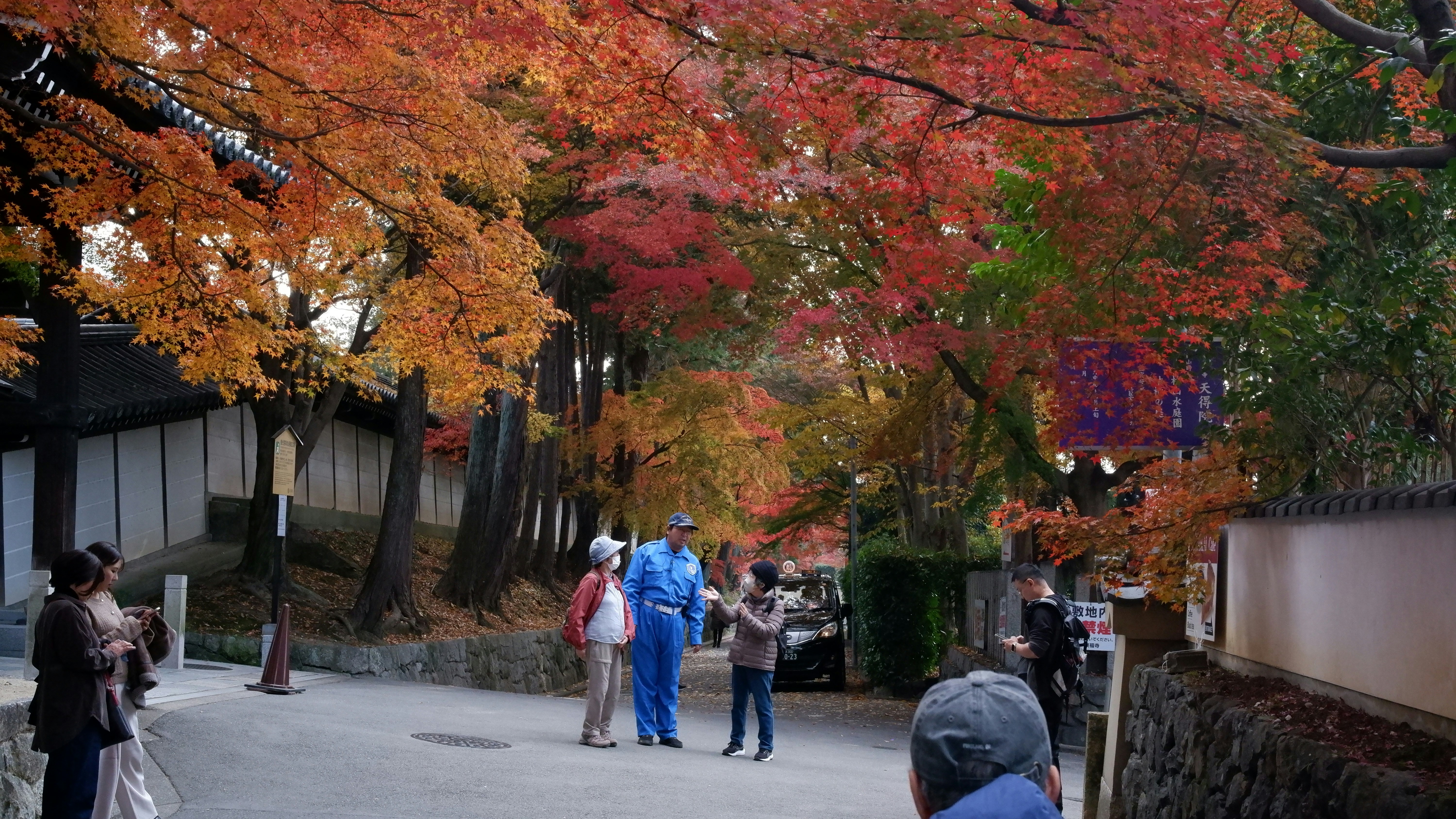 People walk under vibrant autumn trees lining a path.