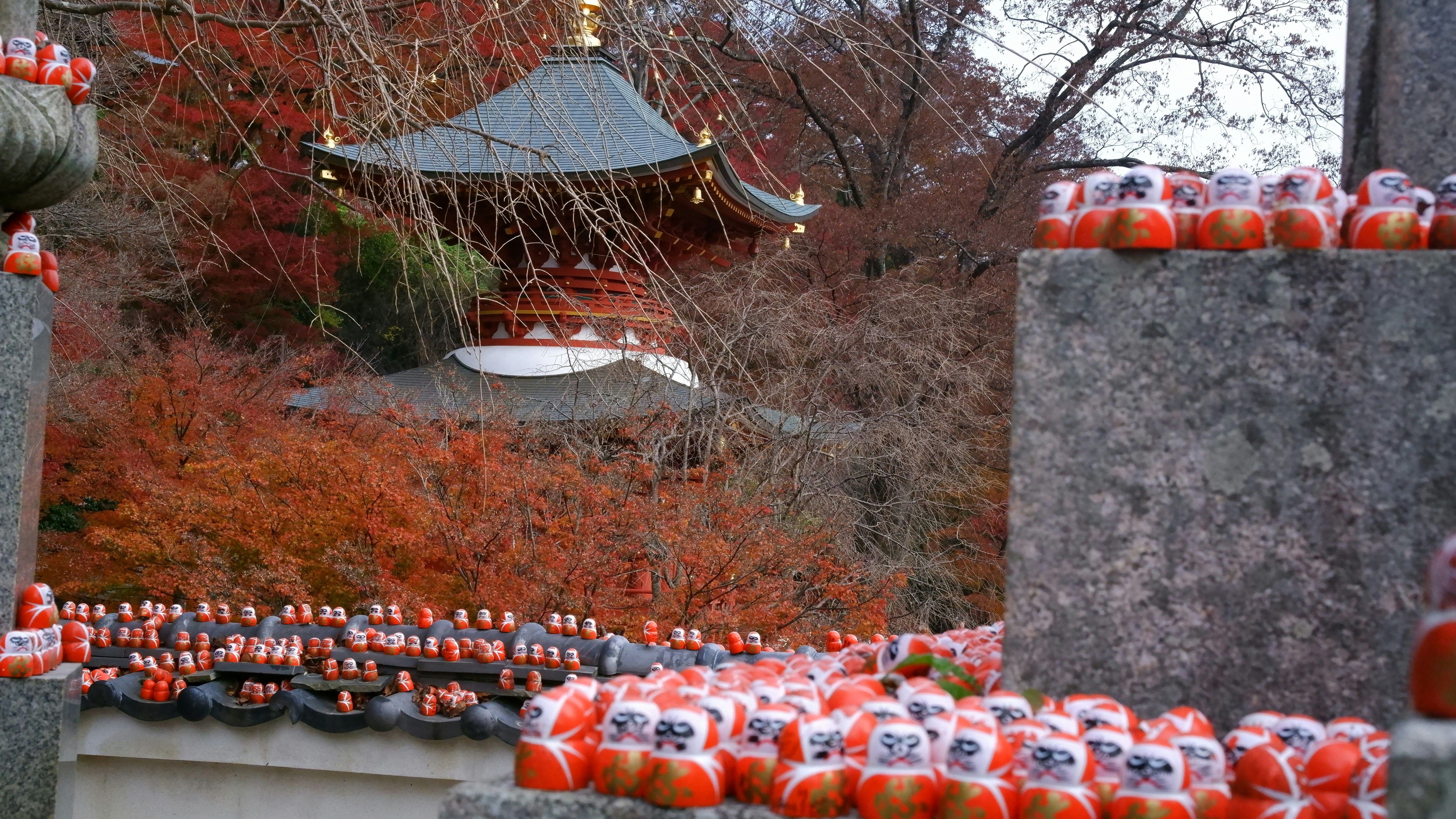 Many daruma dolls are displayed in front of a temple.