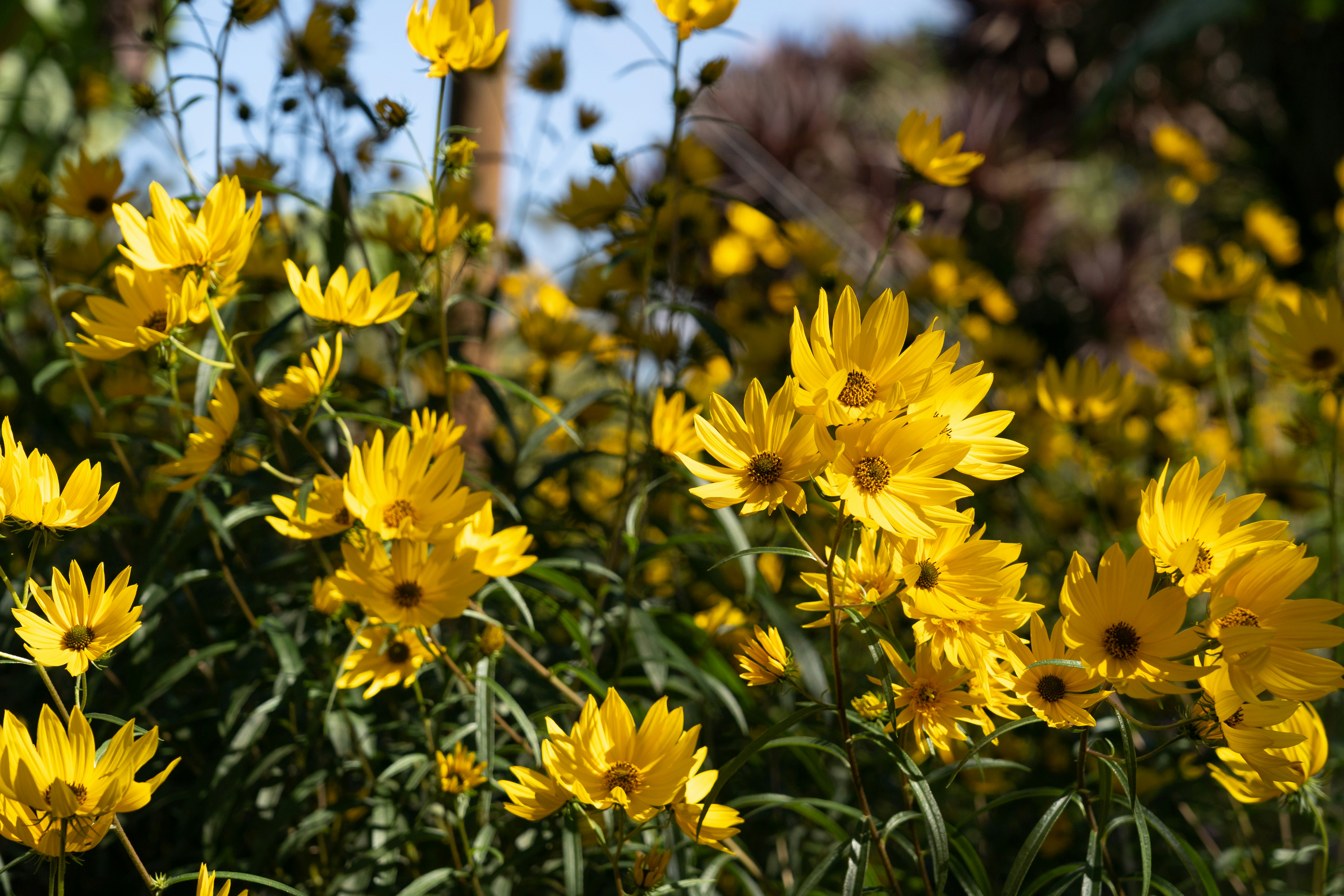 Photo by rachelstwrt