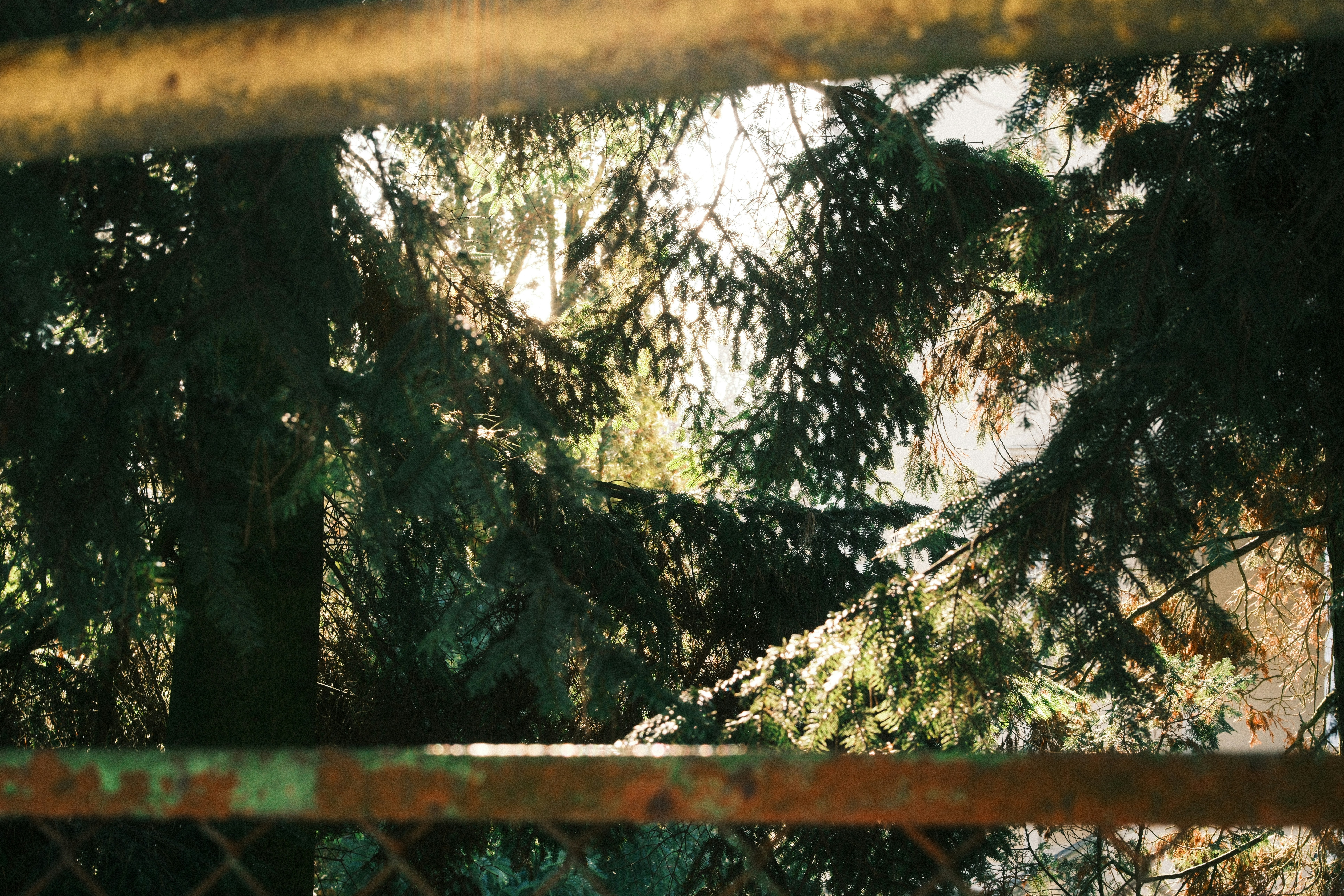 Photo by kolesnykyan