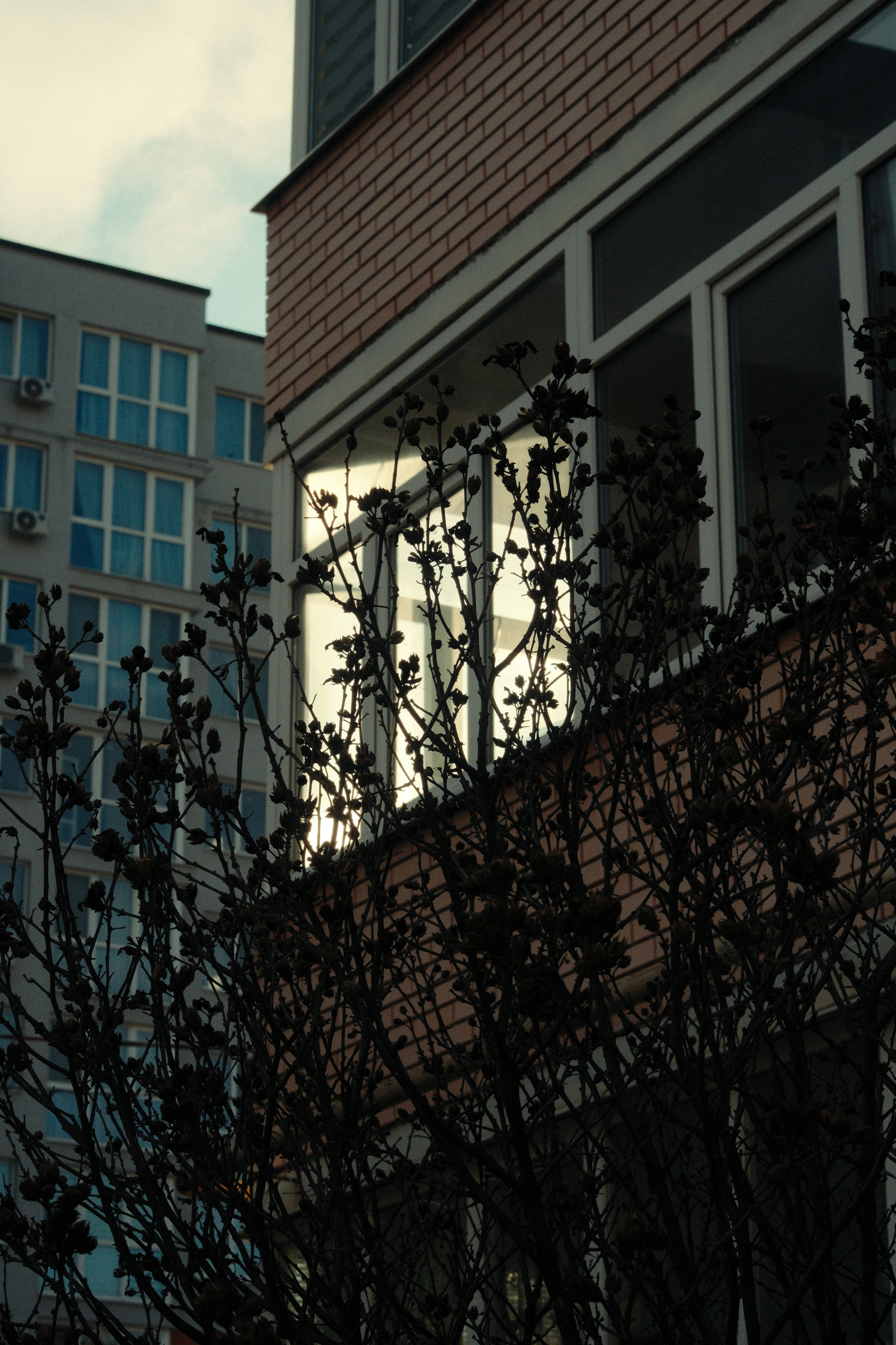 Photo by kolesnykyan