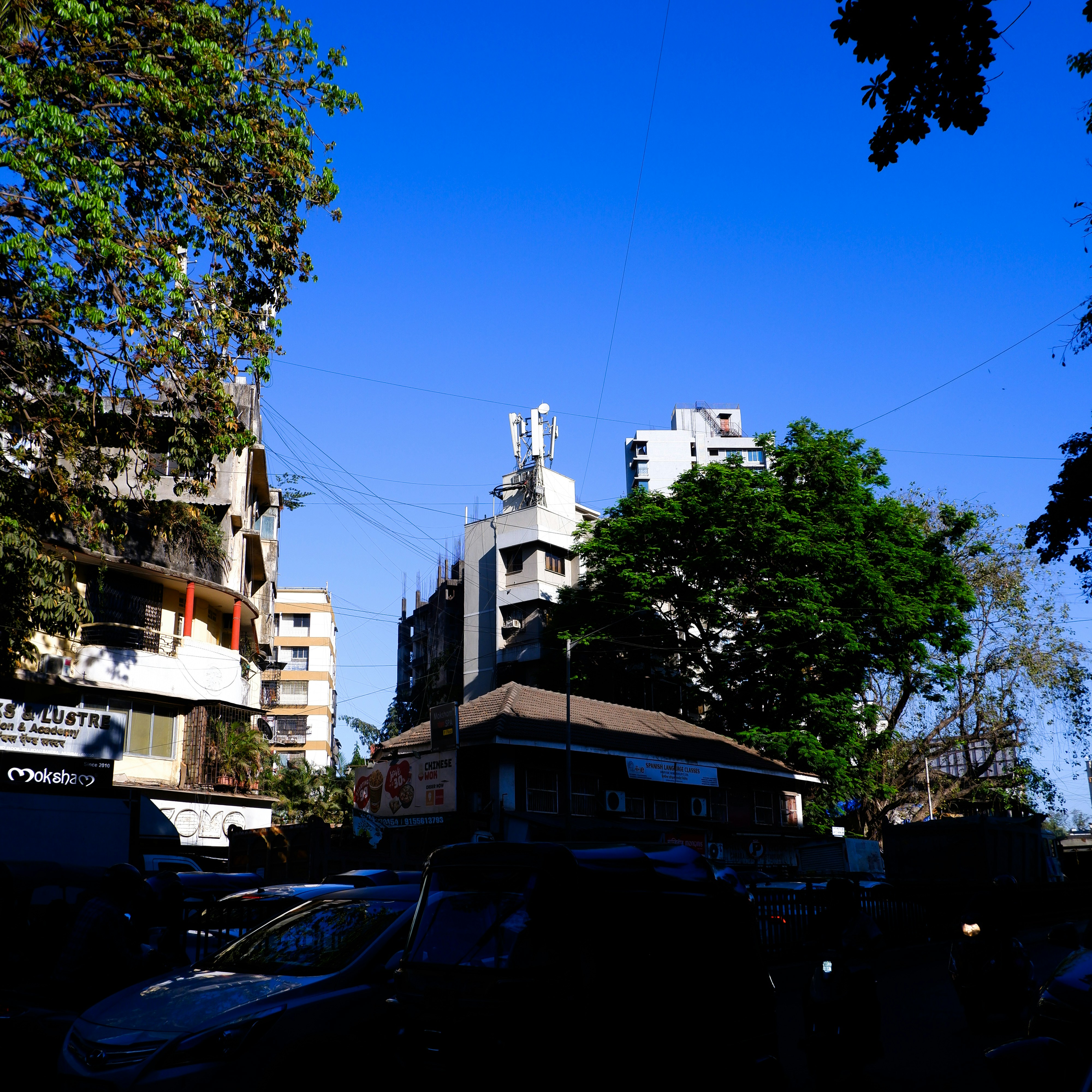 Buildings and trees under a clear blue sky