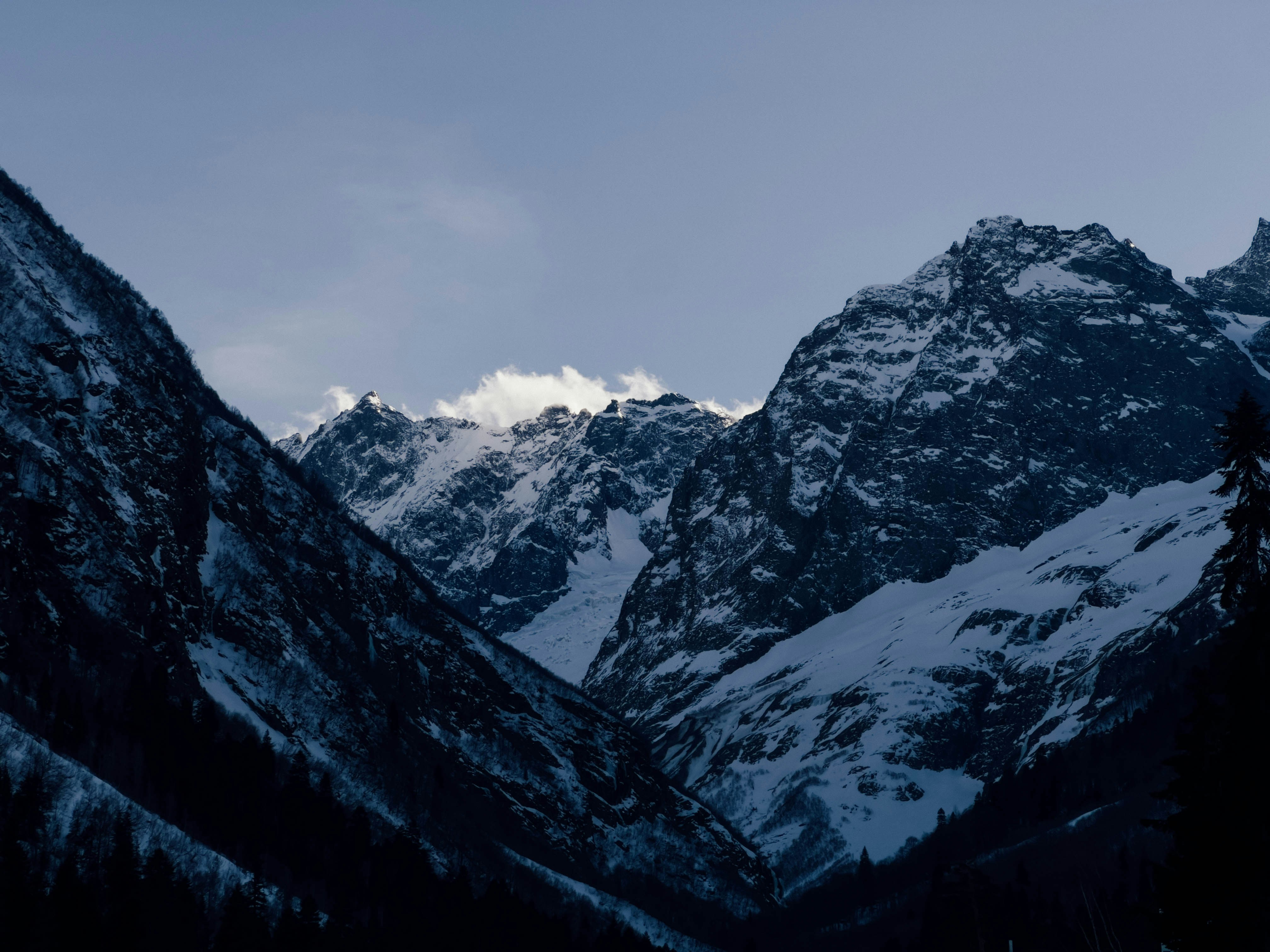 Photo by pinkpony2000