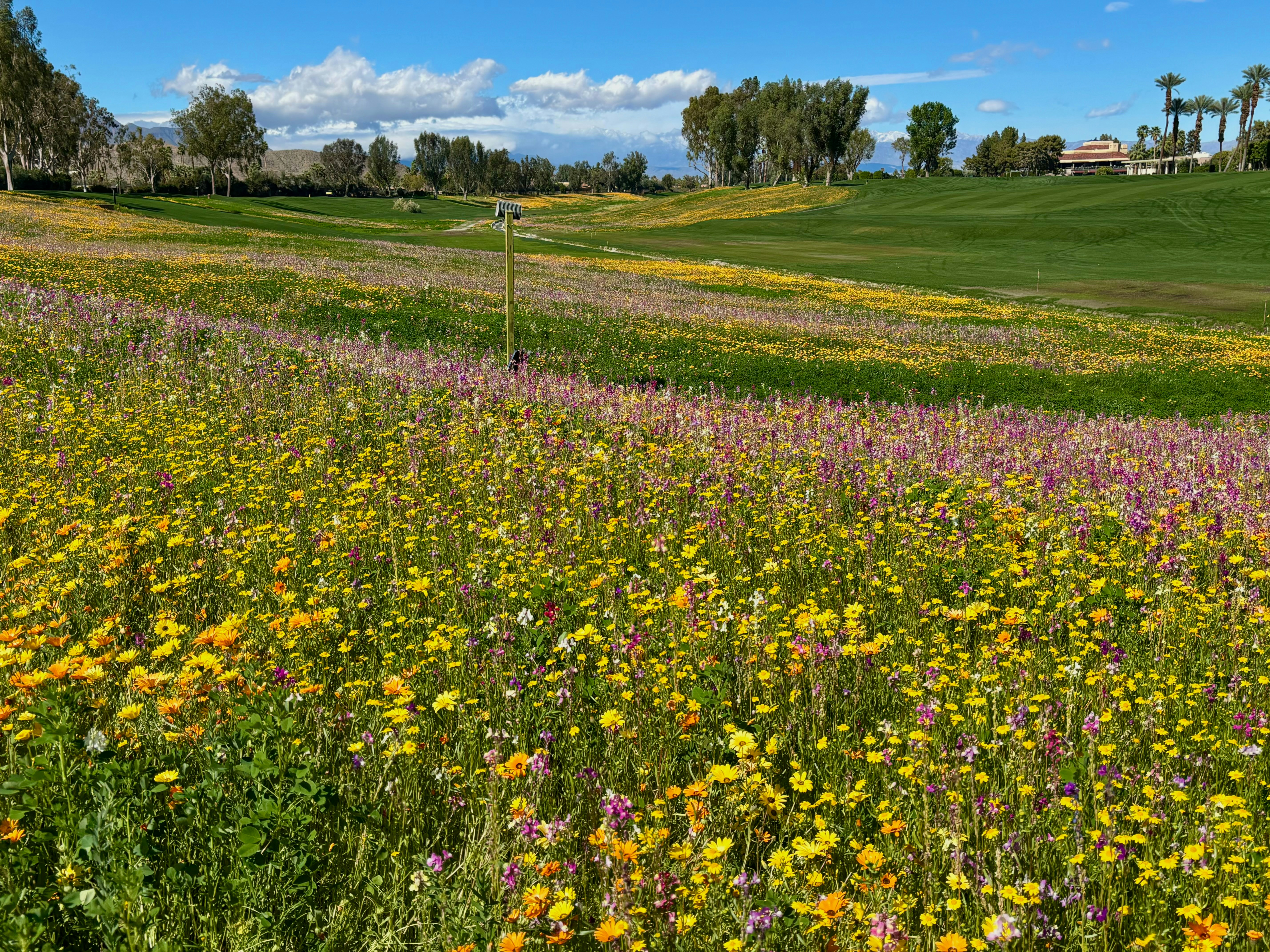 Photo by fotographyfanatik