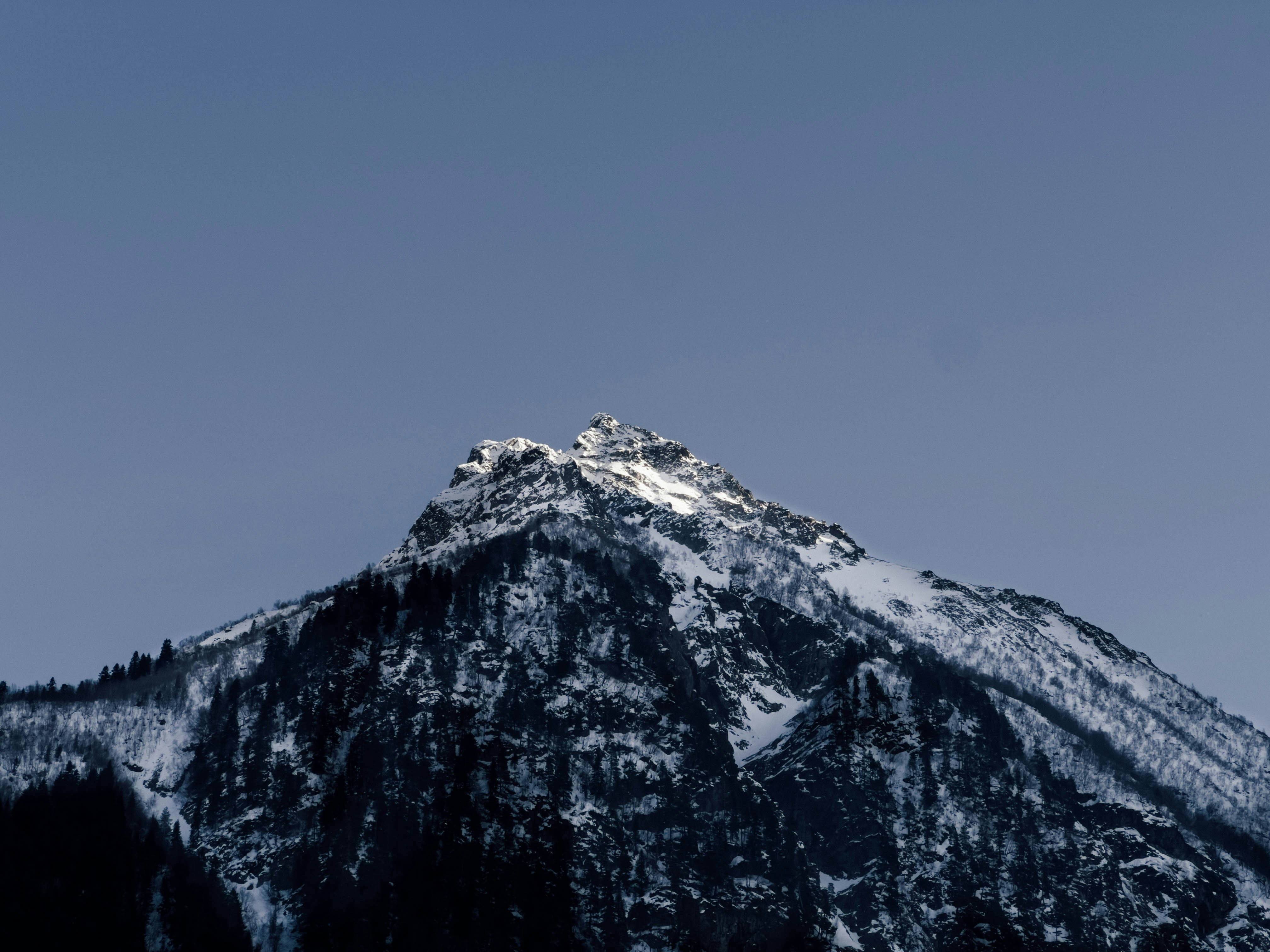 Photo by pinkpony2000