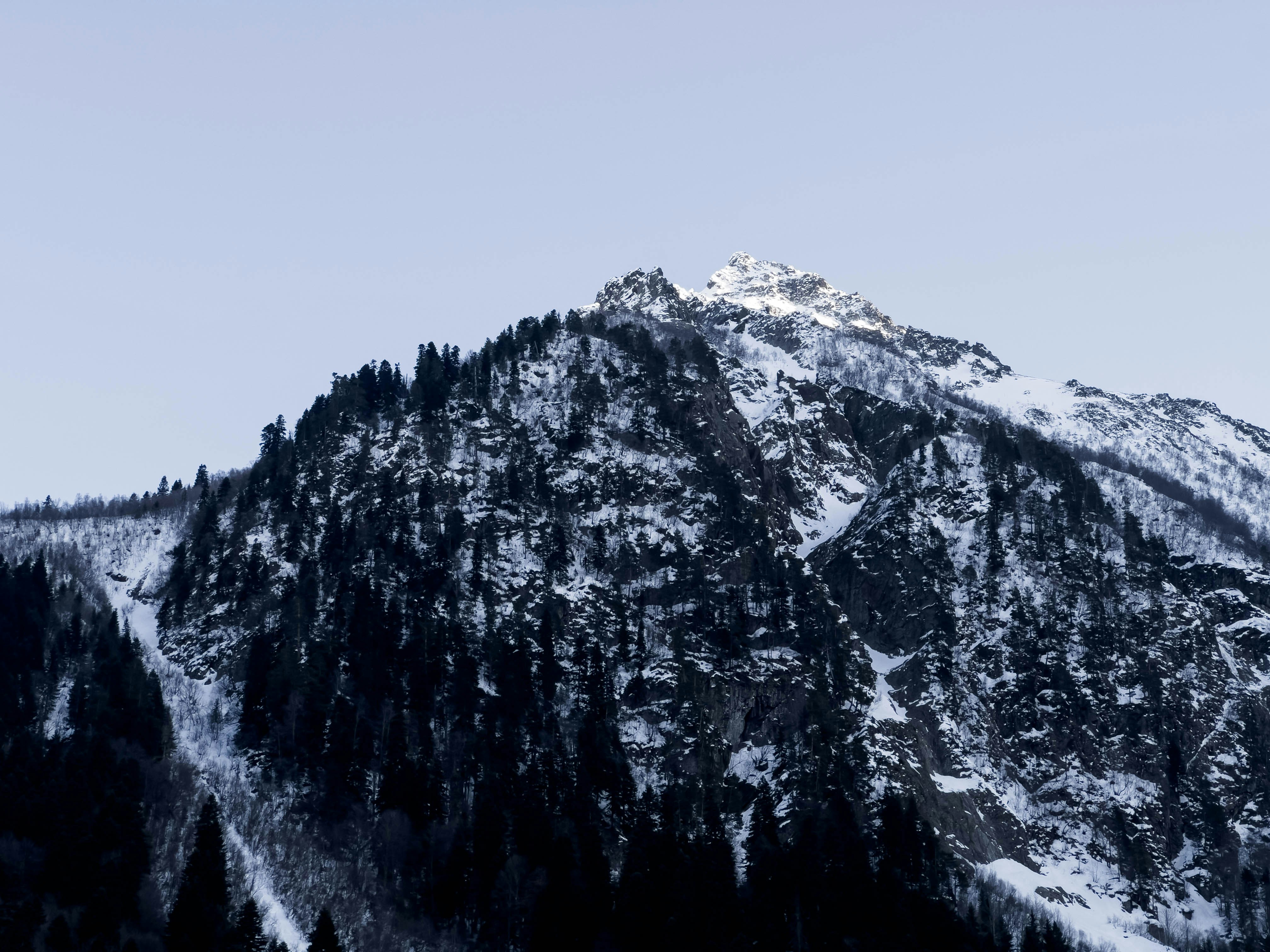 Photo by pinkpony2000