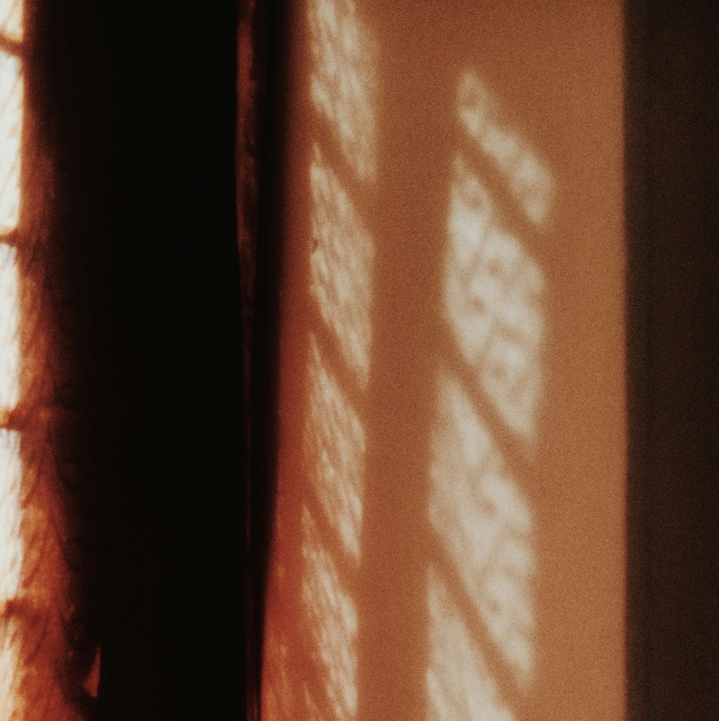 Photo by sommadhobimonotone