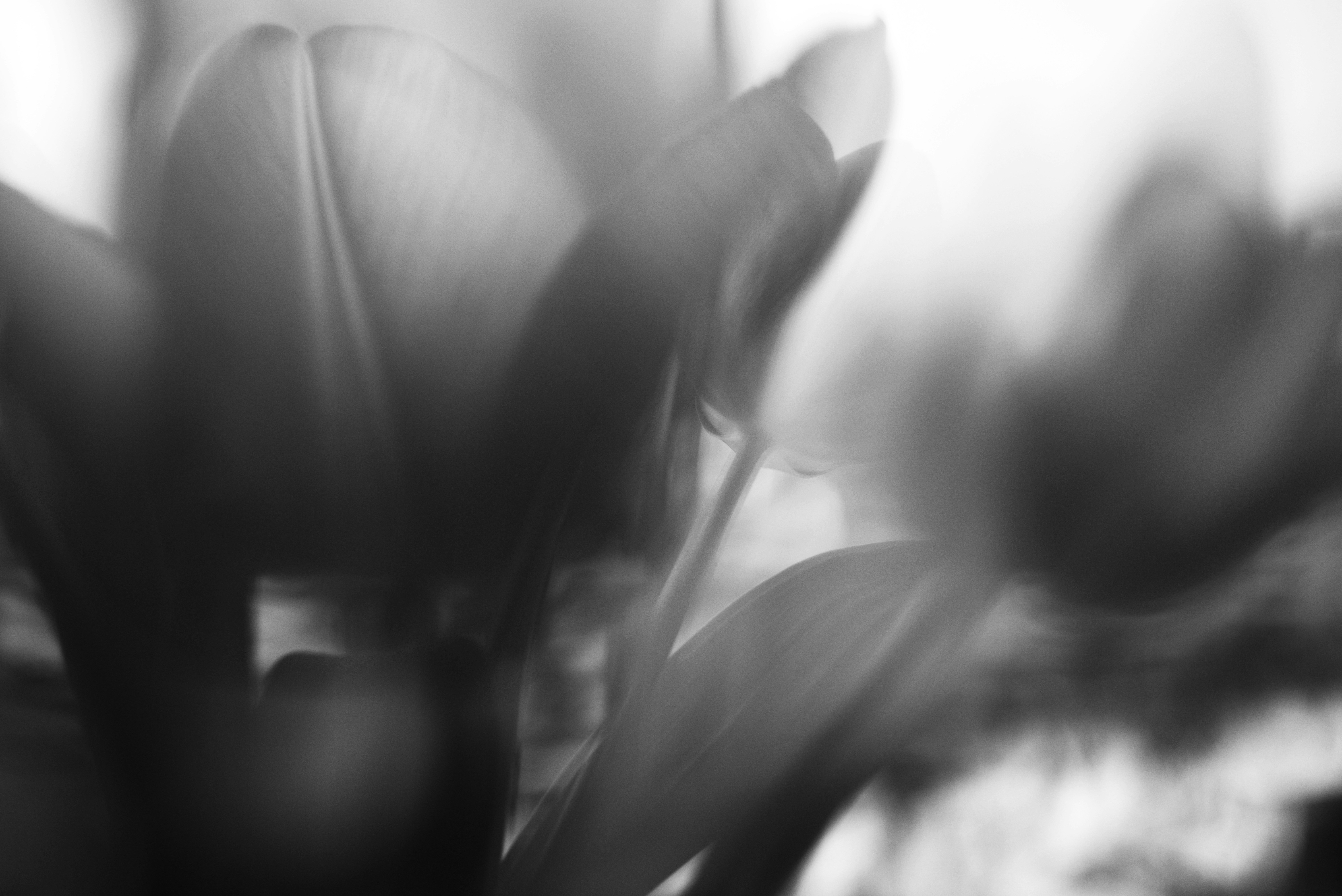 Photo by cherstve_pechivo