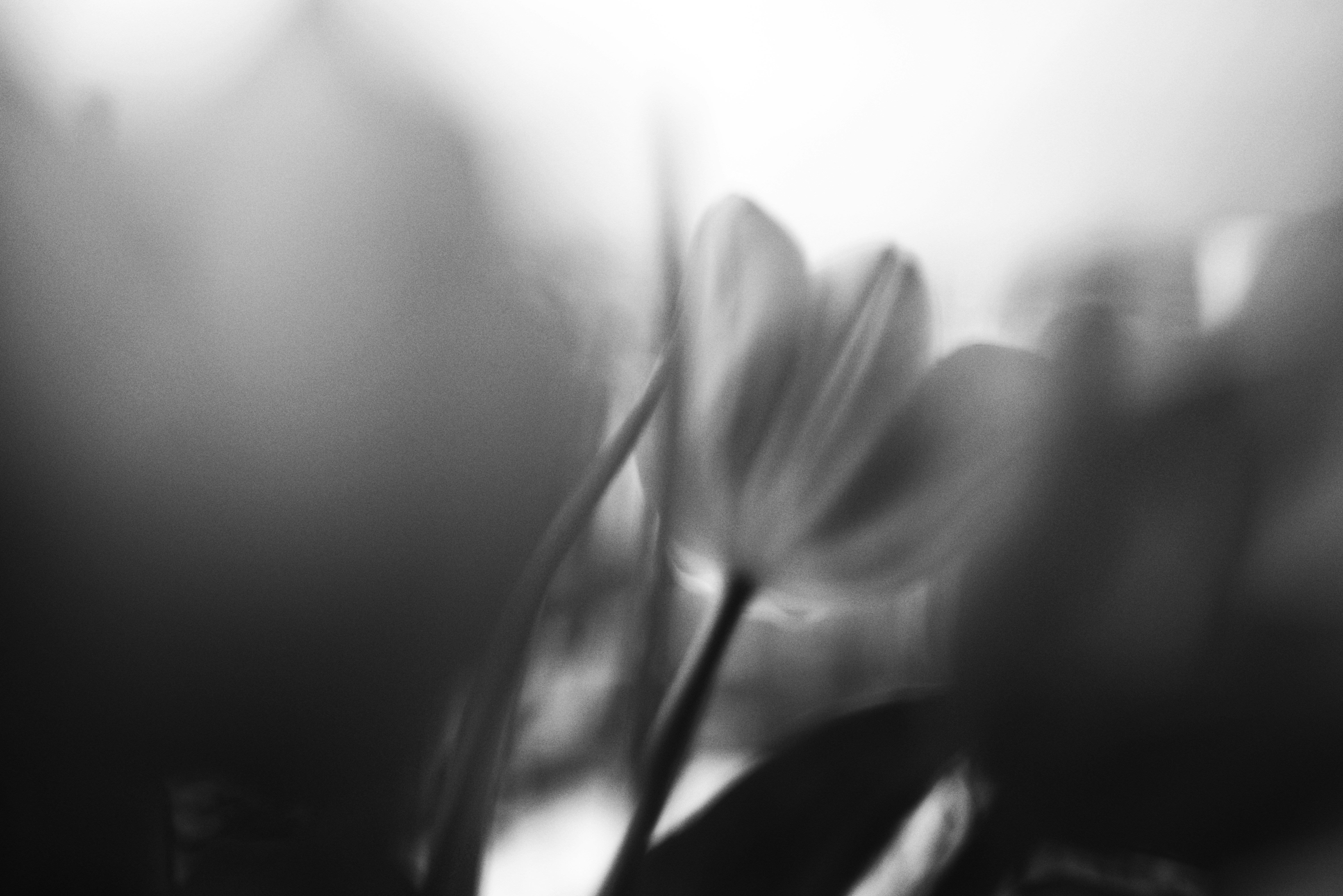 Photo by cherstve_pechivo