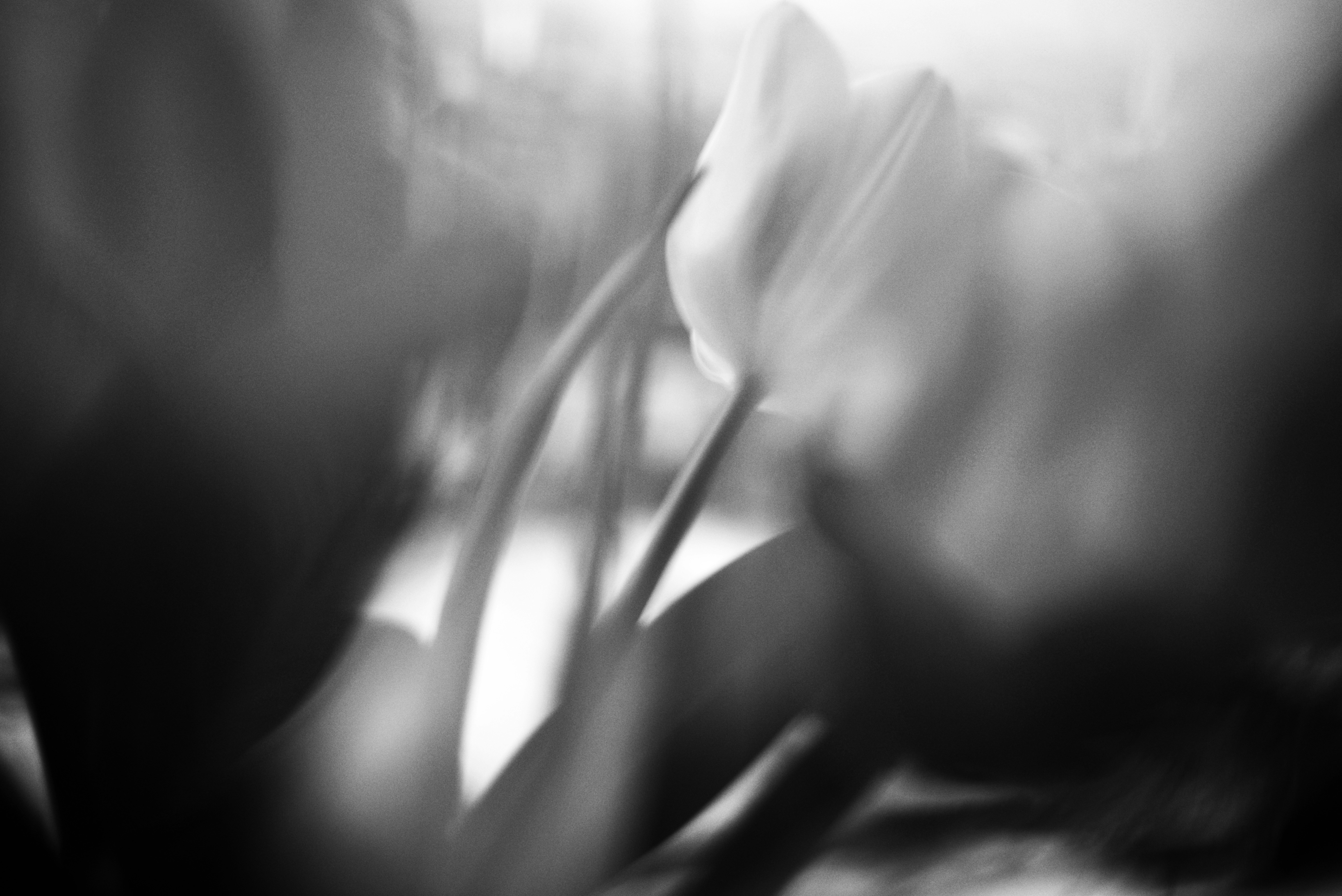 Photo by cherstve_pechivo