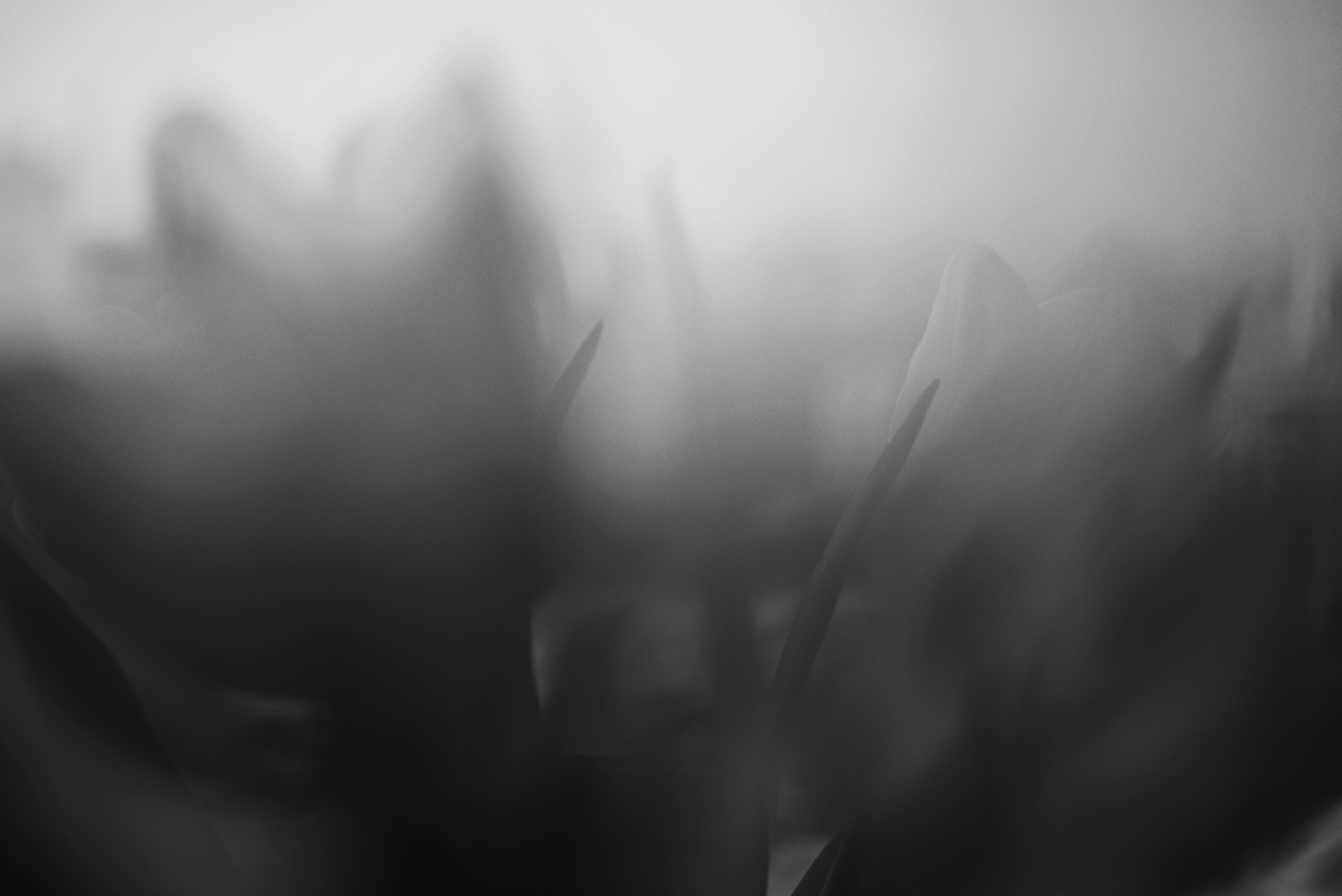 Photo by cherstve_pechivo