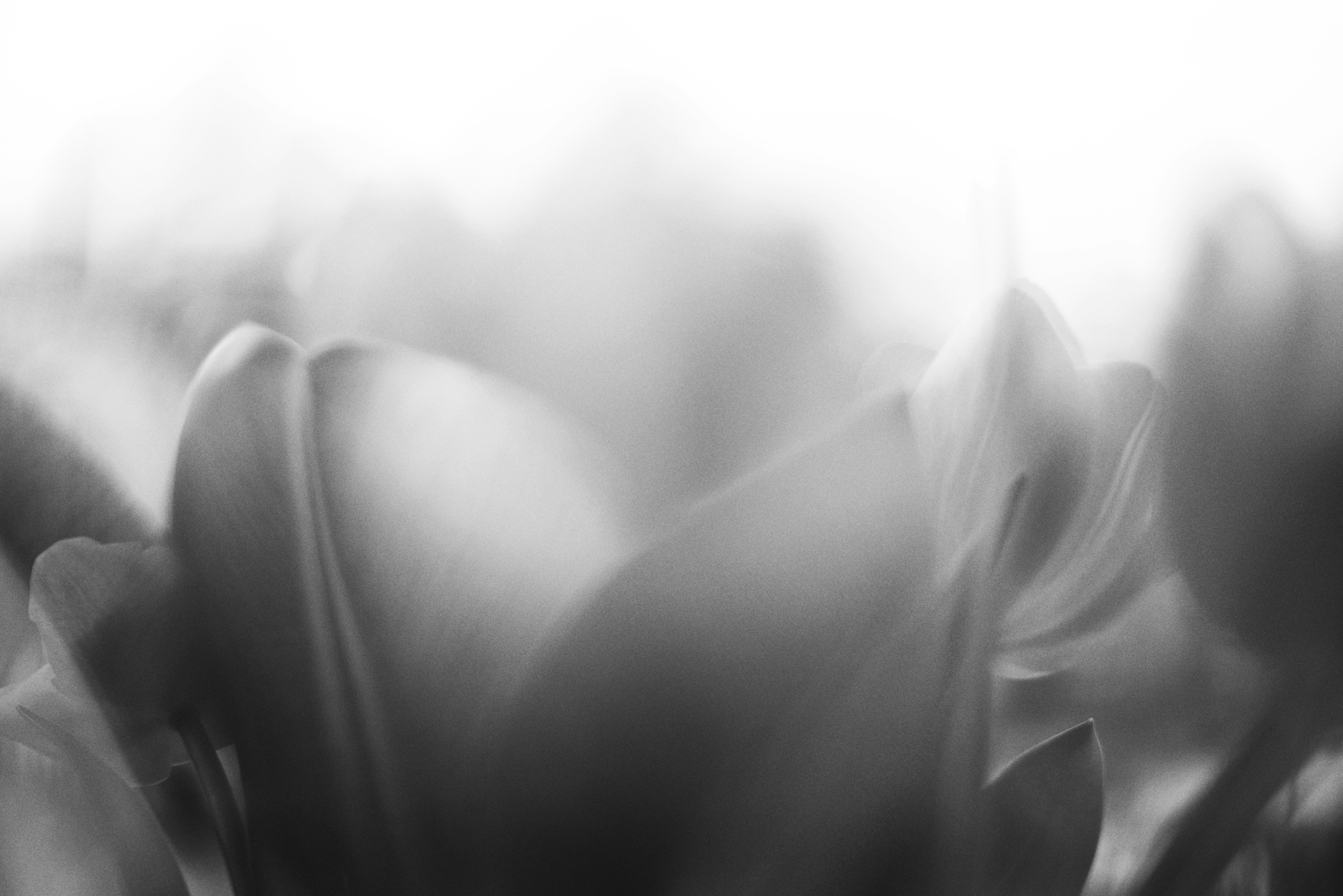 Photo by cherstve_pechivo