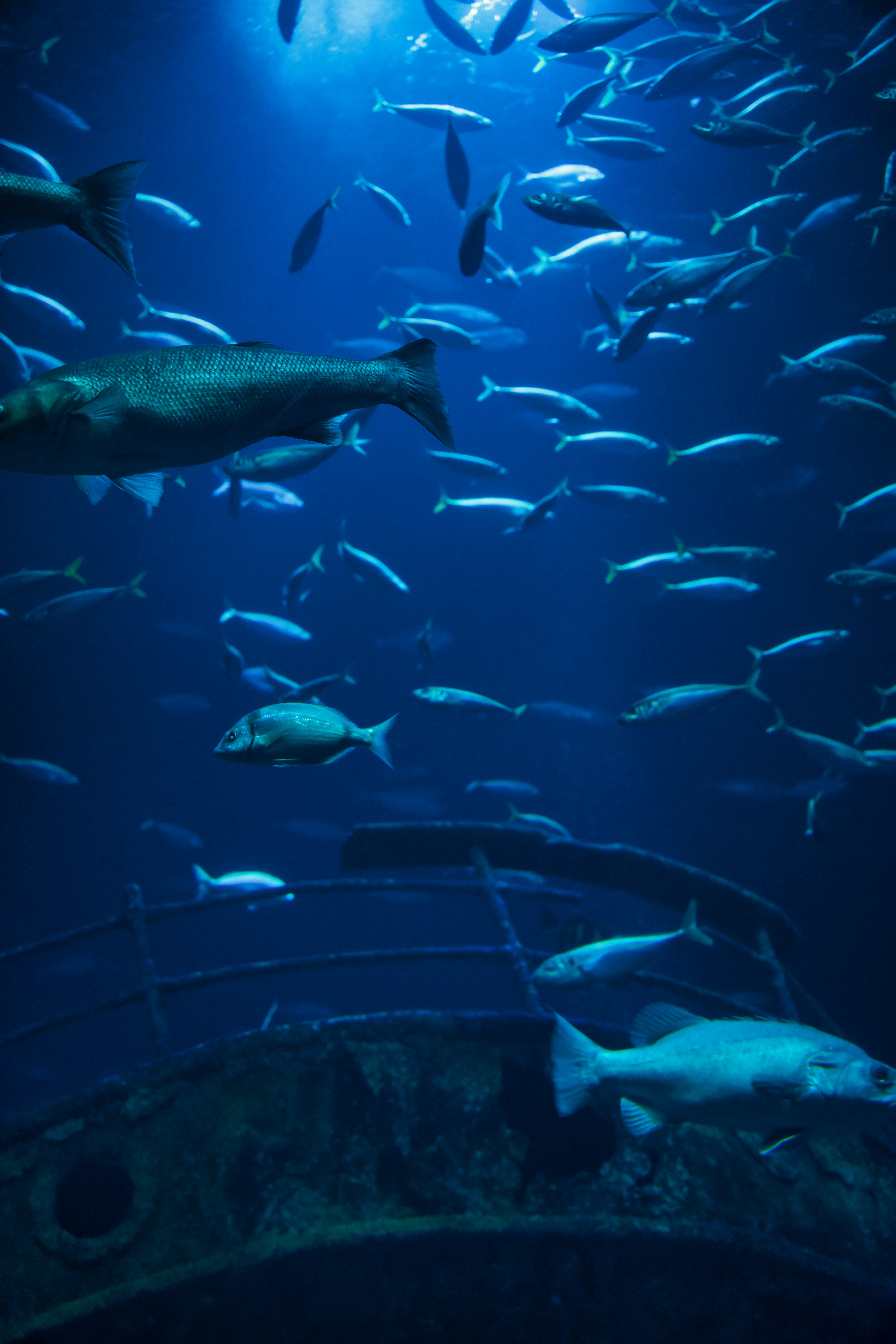 Photo by marcel_z0211