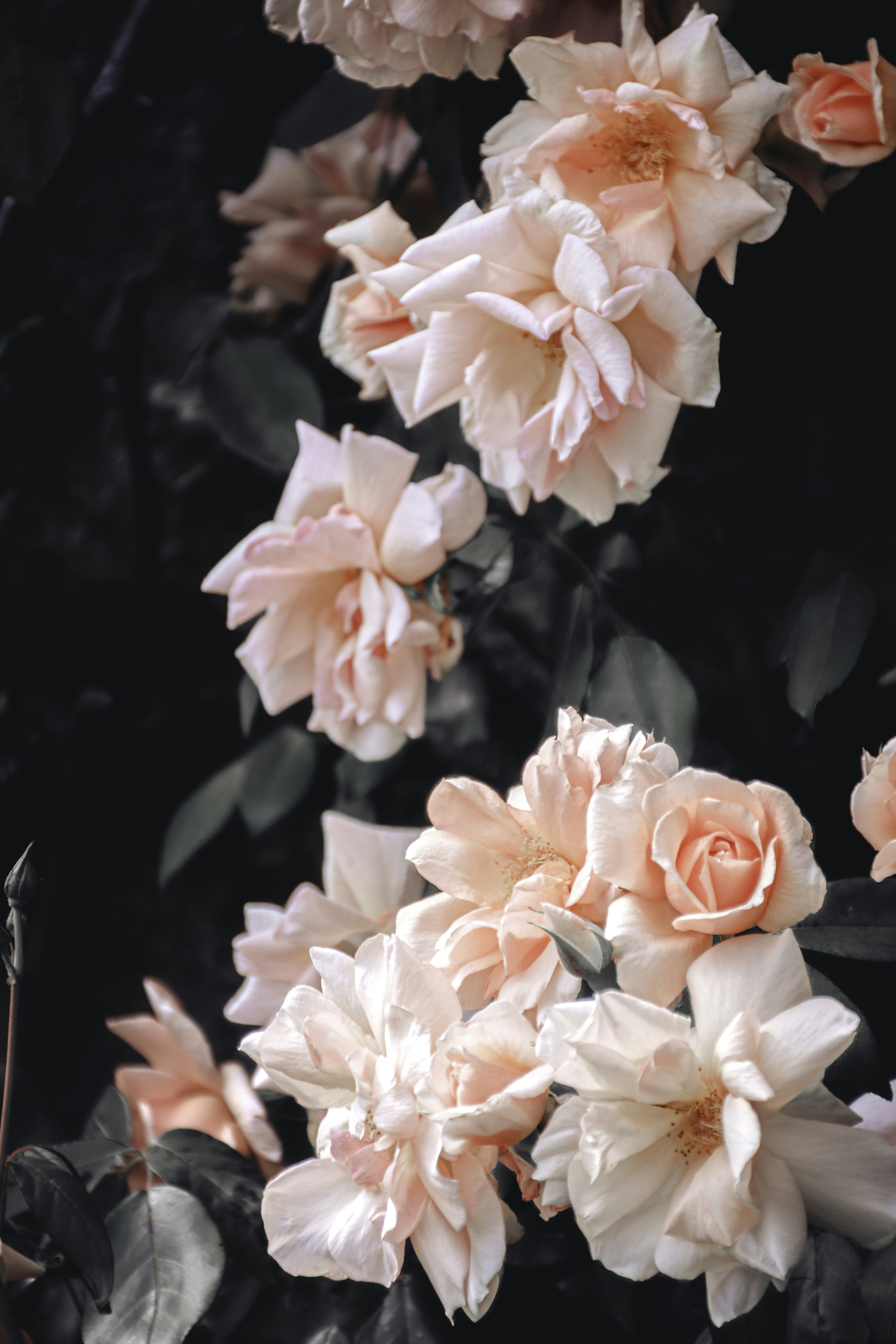 Photo by adam_skrinnikoff