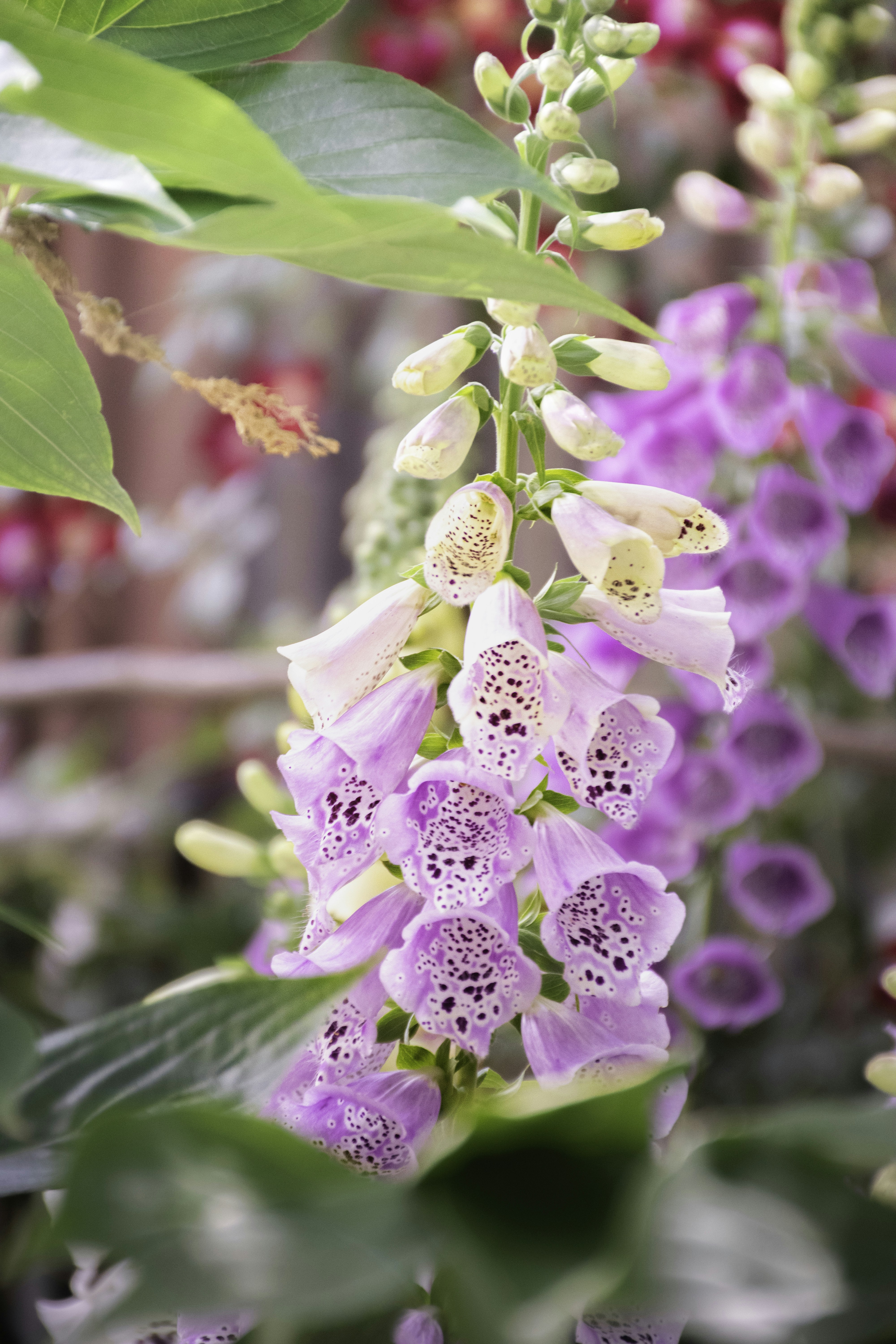 Photo by adam_skrinnikoff