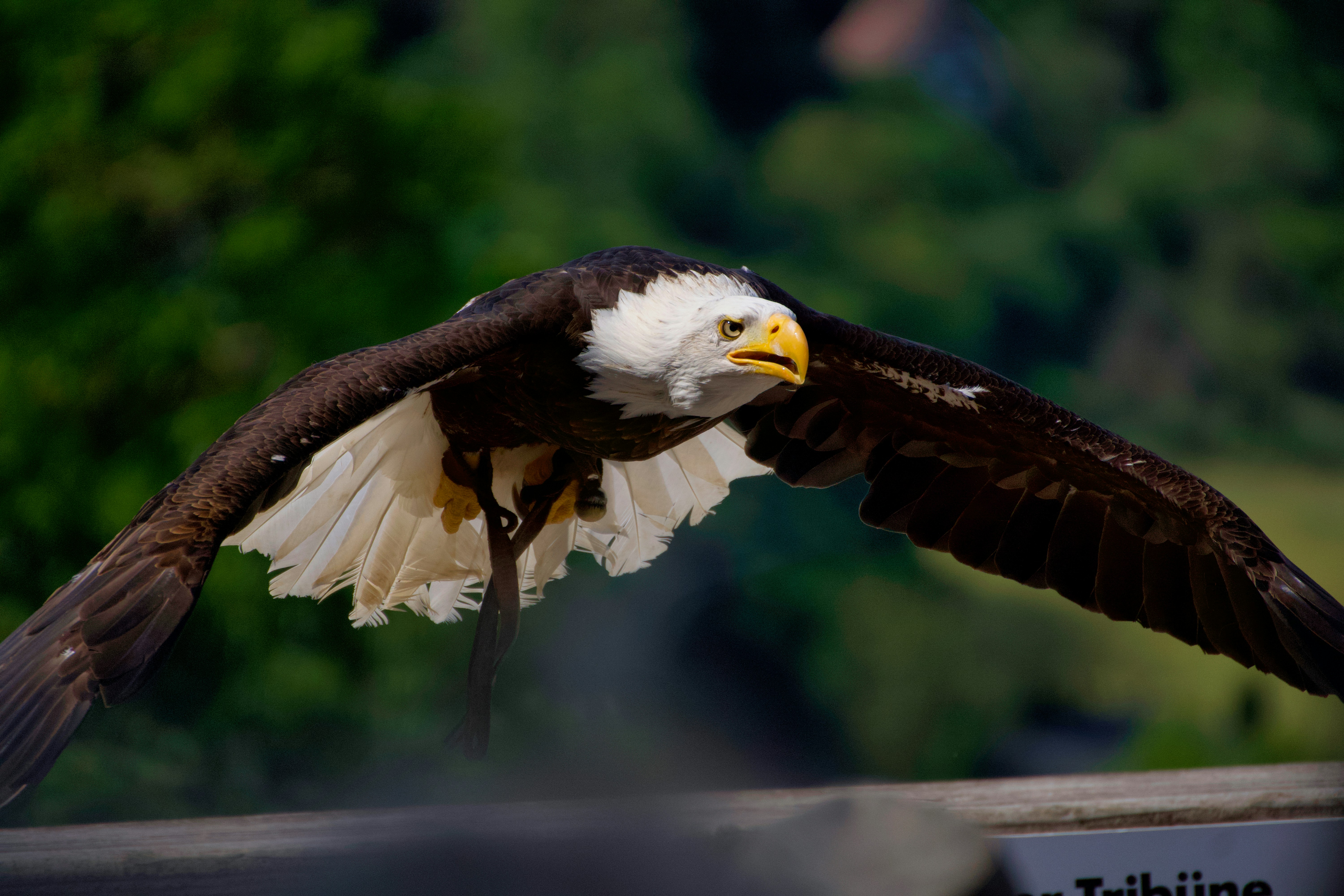 Wings of Freedom Park