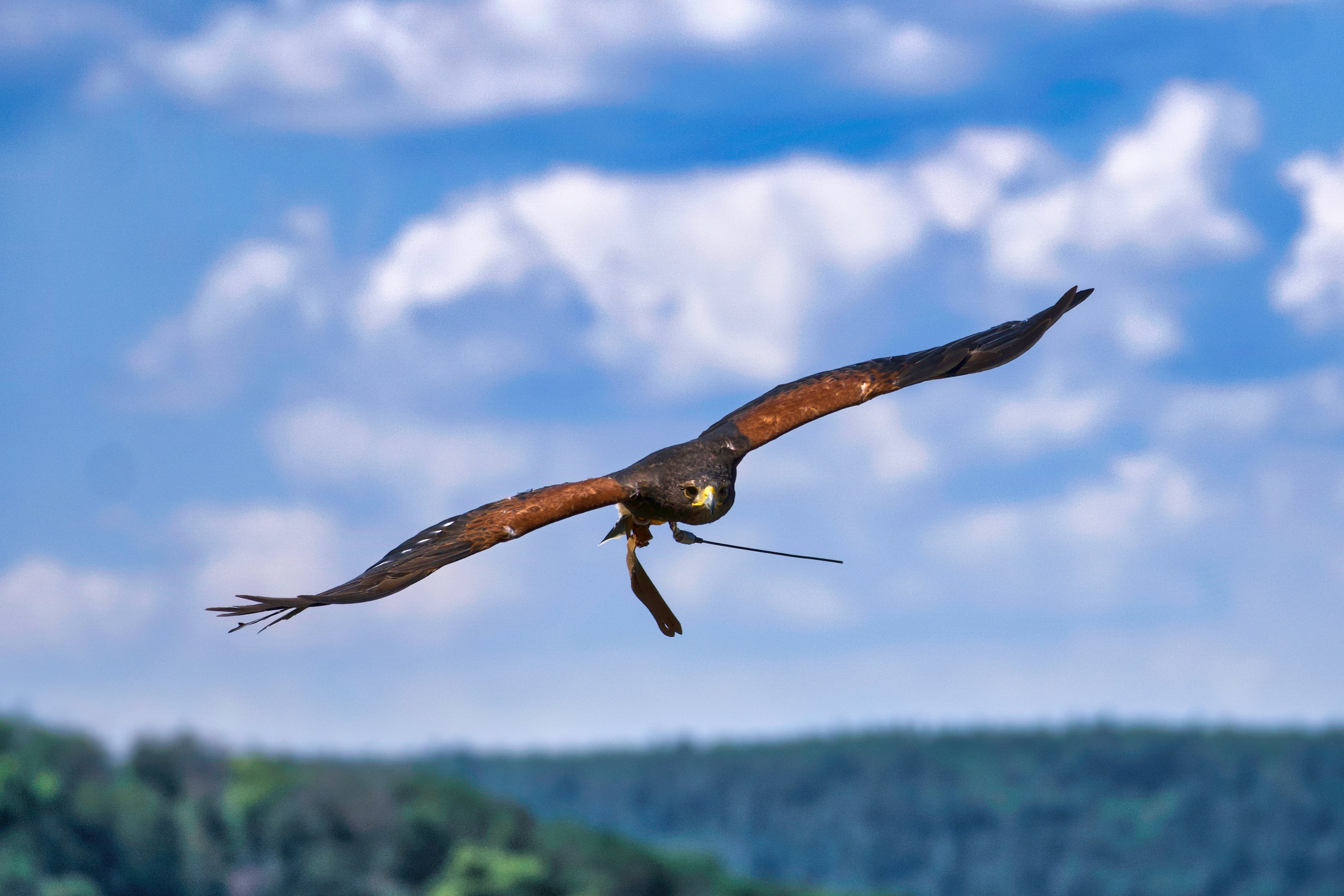 Photo by marcel_z0211