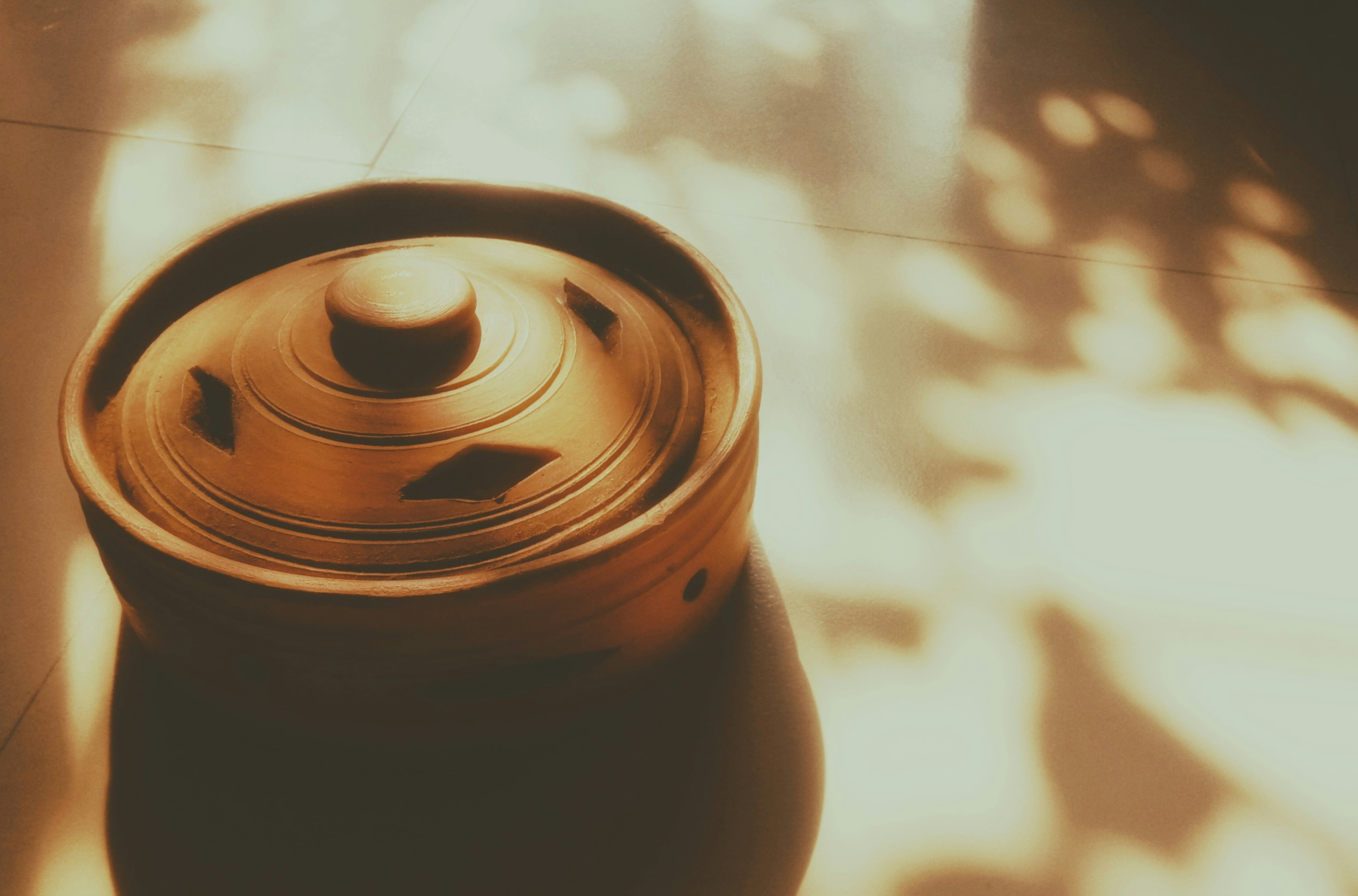 The Conversation Your Gut Stopped Having With Your Brain — And the Ancient Fermentation Rituals That Can Restart It