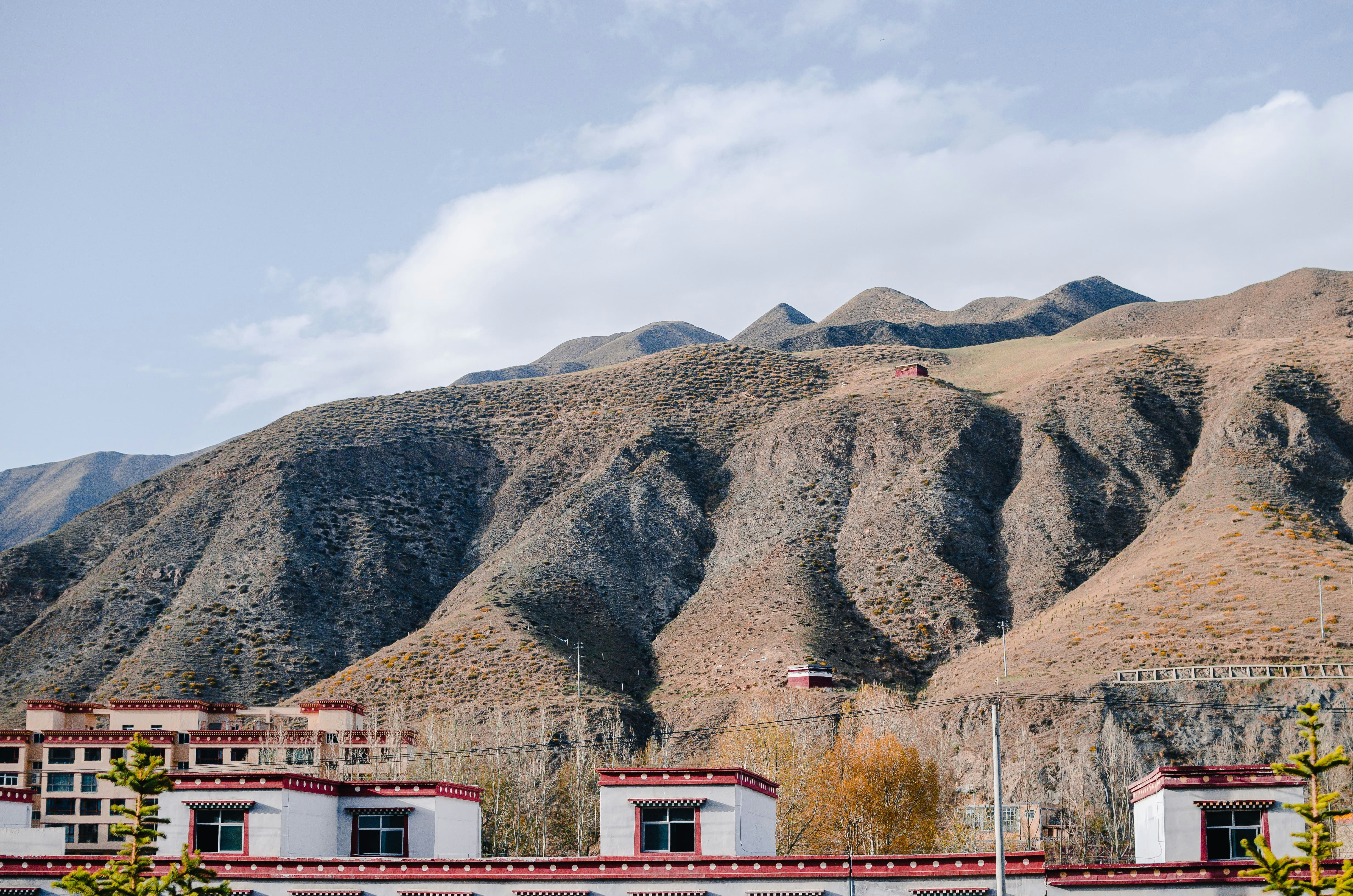 Photo by huaduobangbangzhu