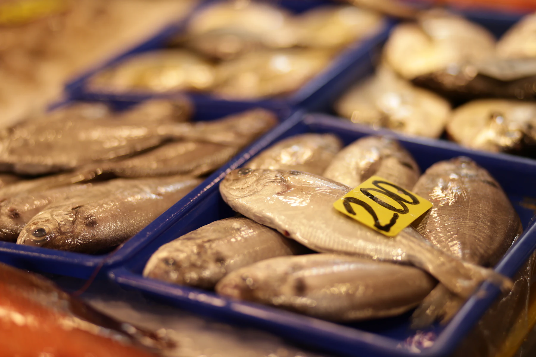 Fresh fish displayed in blue market crates with a visible counter marker, illustrating consumer-facing seafood information
