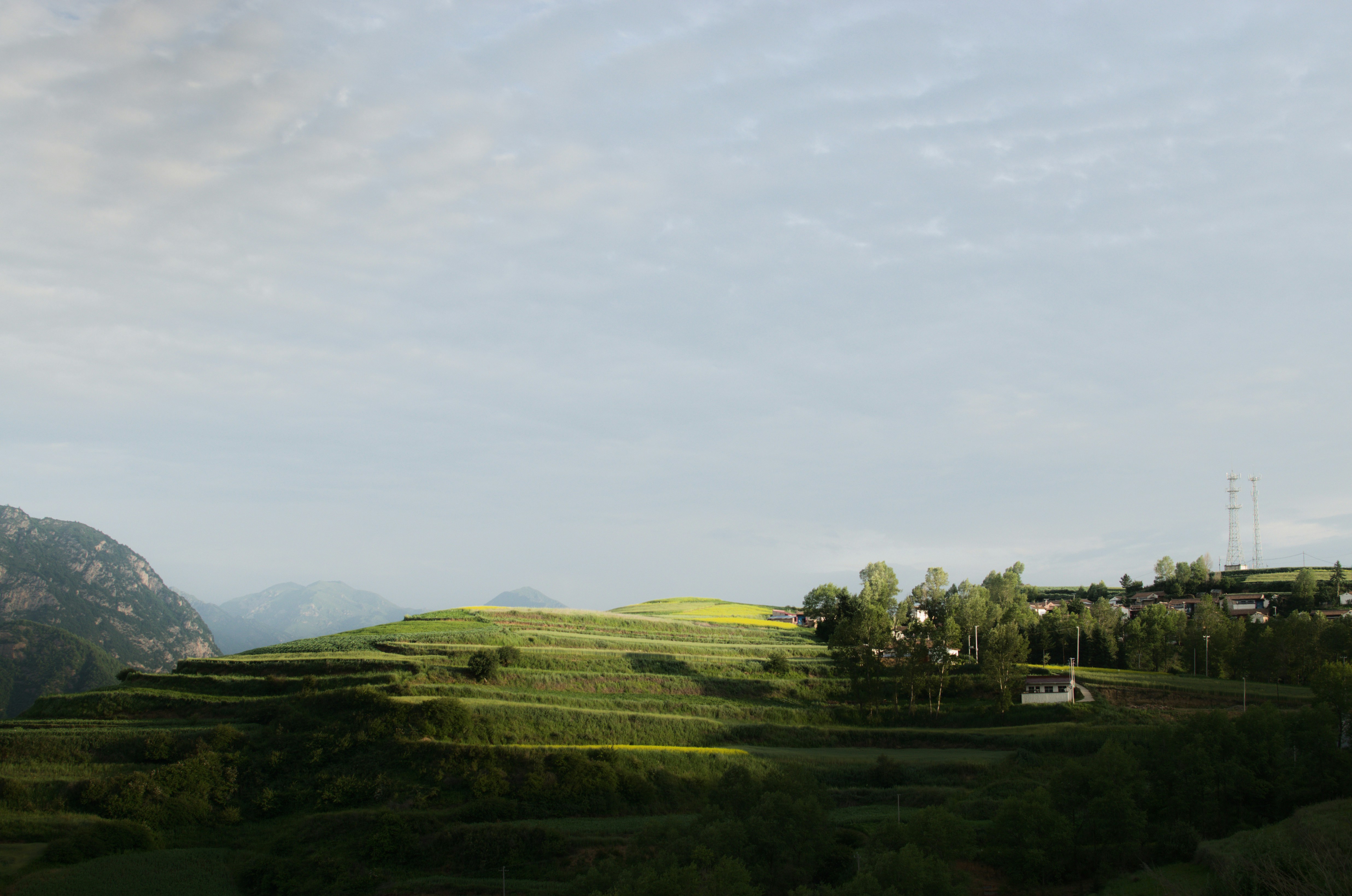 Photo by huaduobangbangzhu