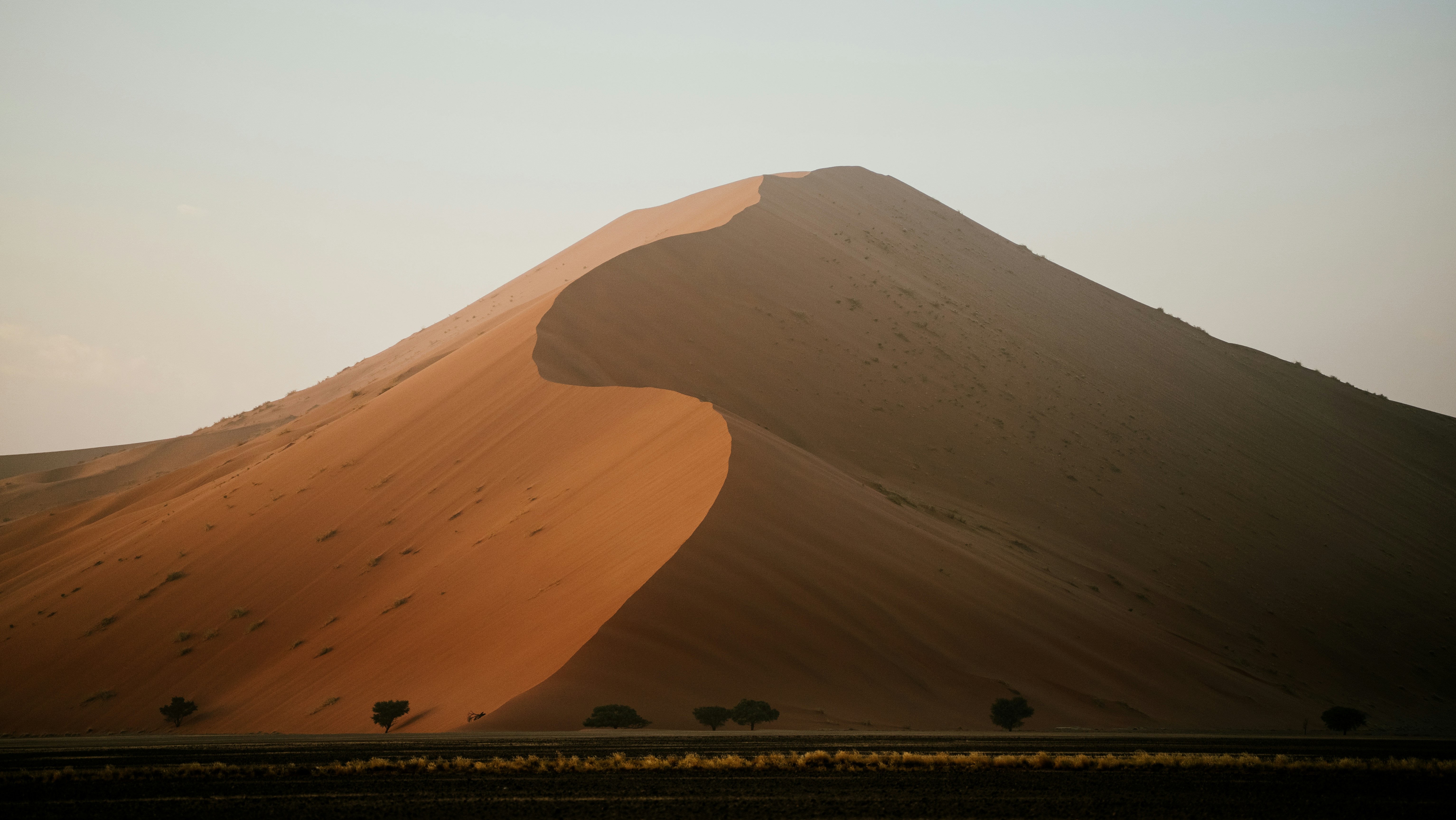 A large sand dune with subtle shadows and sparse vegetation.