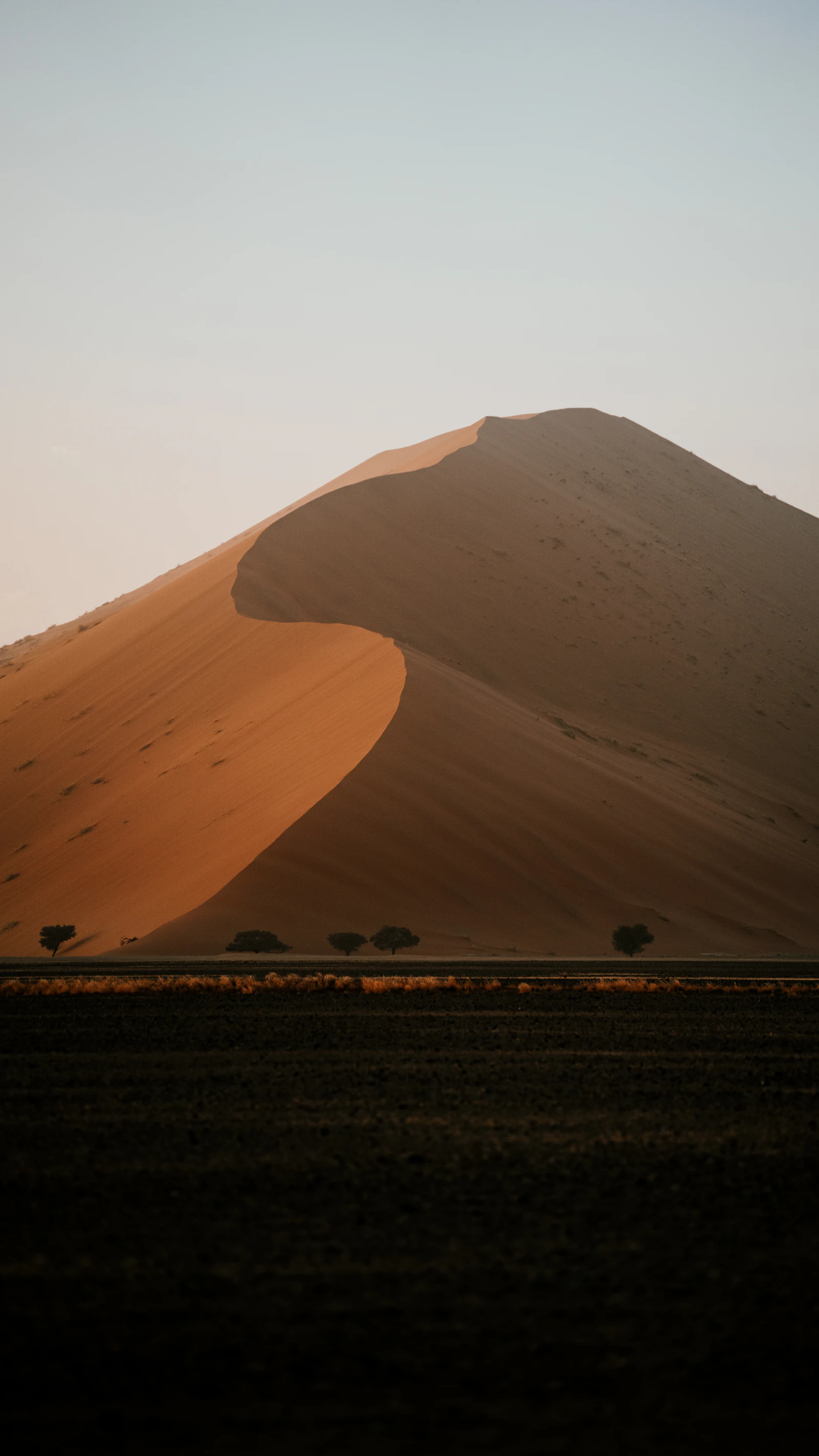 Golden sand dune with a curved shadow at sunrise