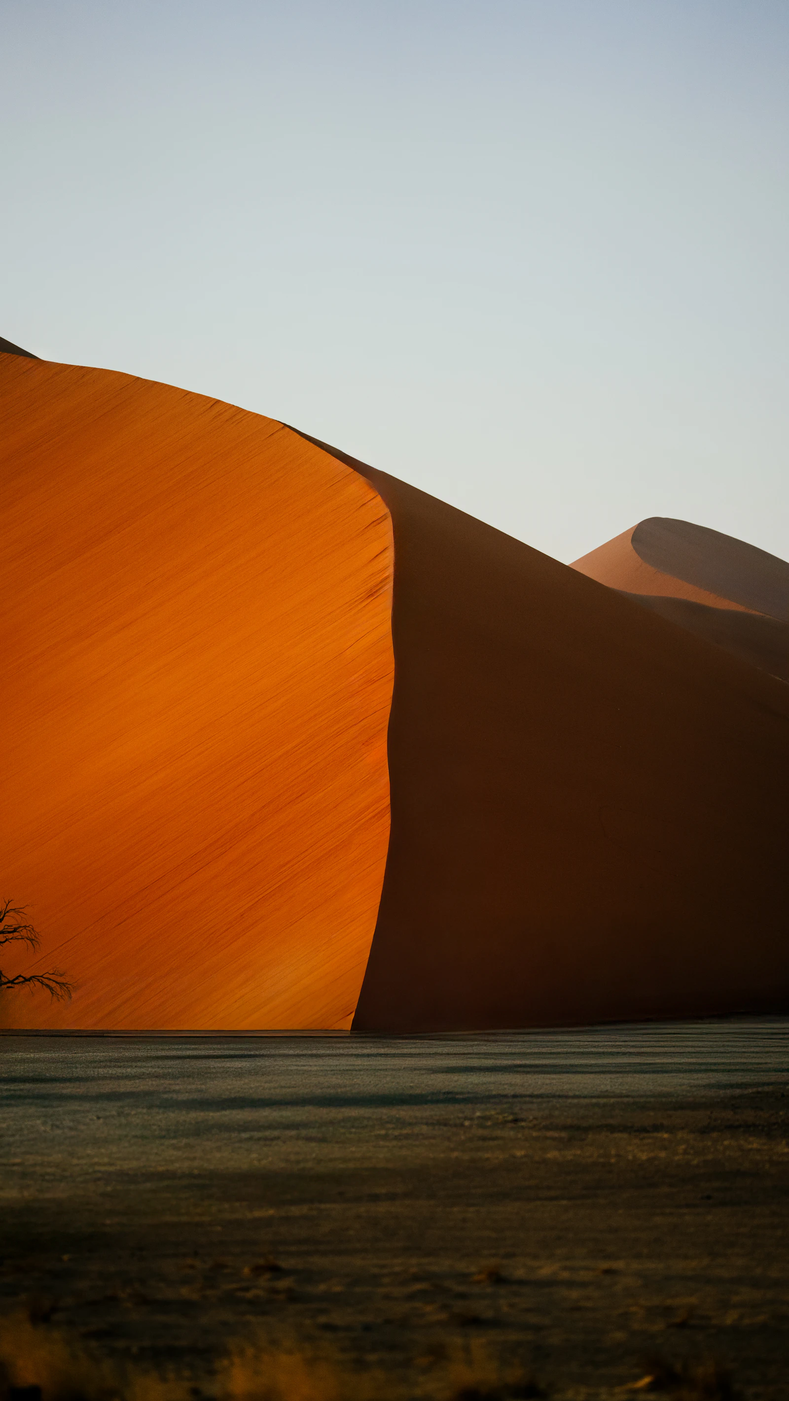 Best Desert Sunrises — scene